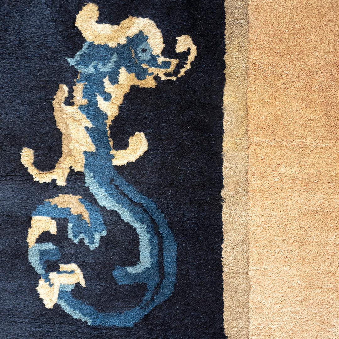 ocean themed rug