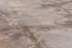 Early 20th Century Antique Chinese Tianjin Carpet, circa 1930s