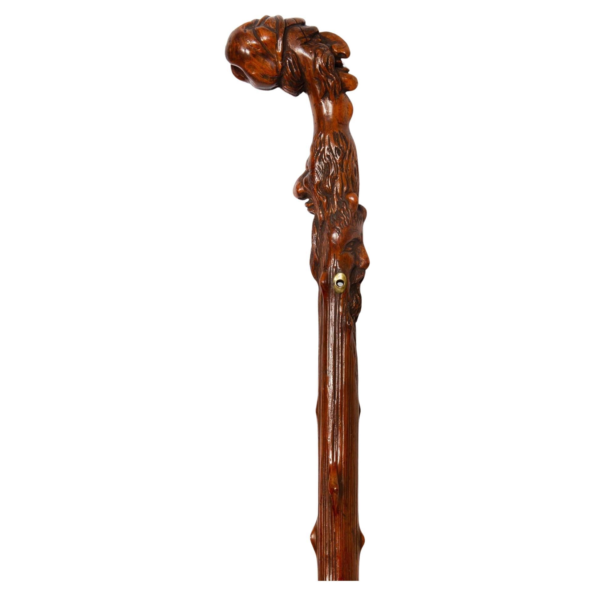 Début du 20ème siècle, Arte Antiques Art Carved Walking Stick Whistle Cane