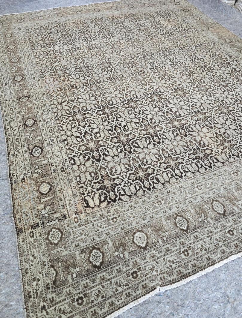 Wool Early 20th Century Antique Indian Agra Rug 9x12 For Sale