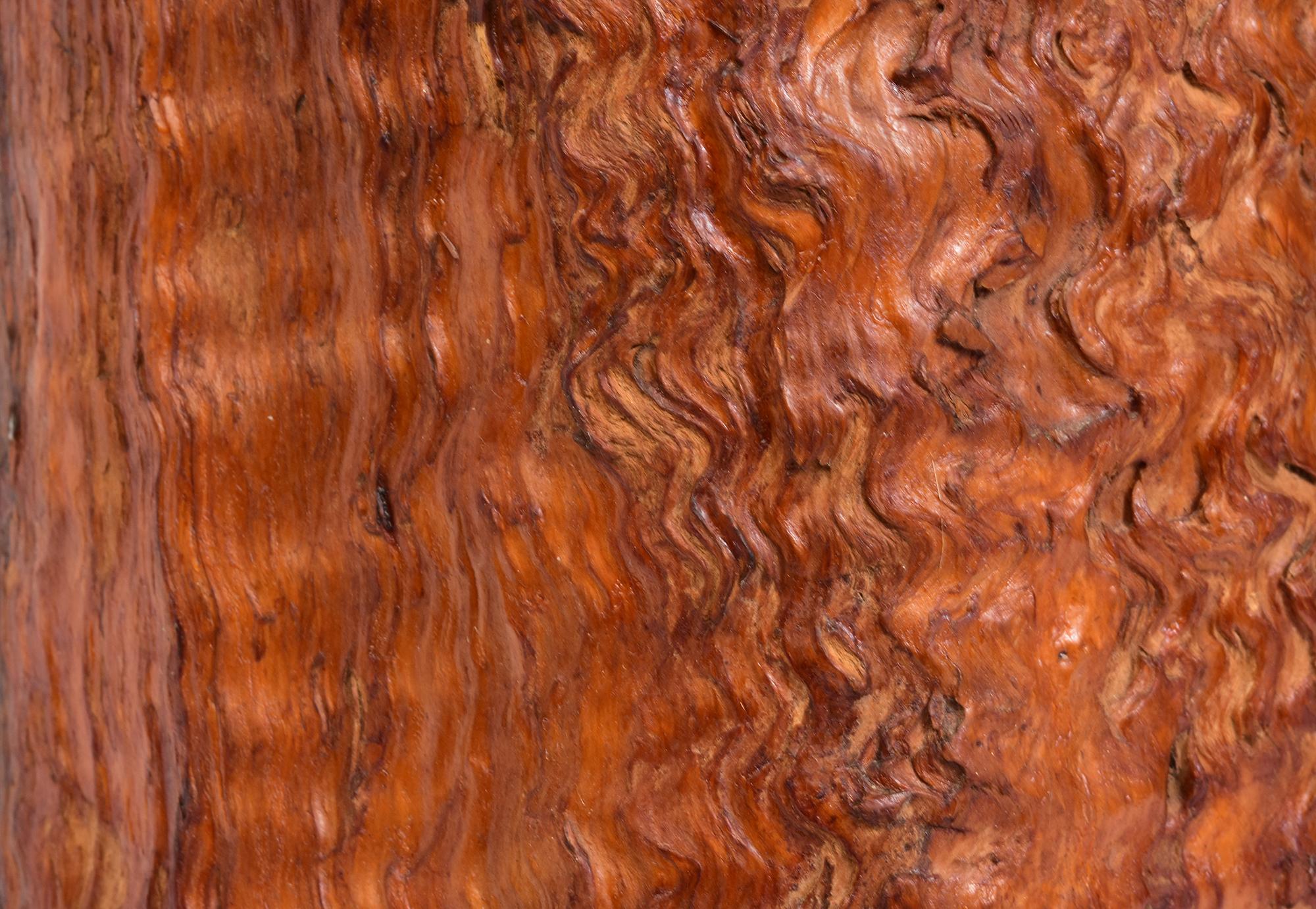 Antico vaso giapponese di grandi dimensioni in legno di radica per pennelli, primi anni del XX secolo in vendita 5