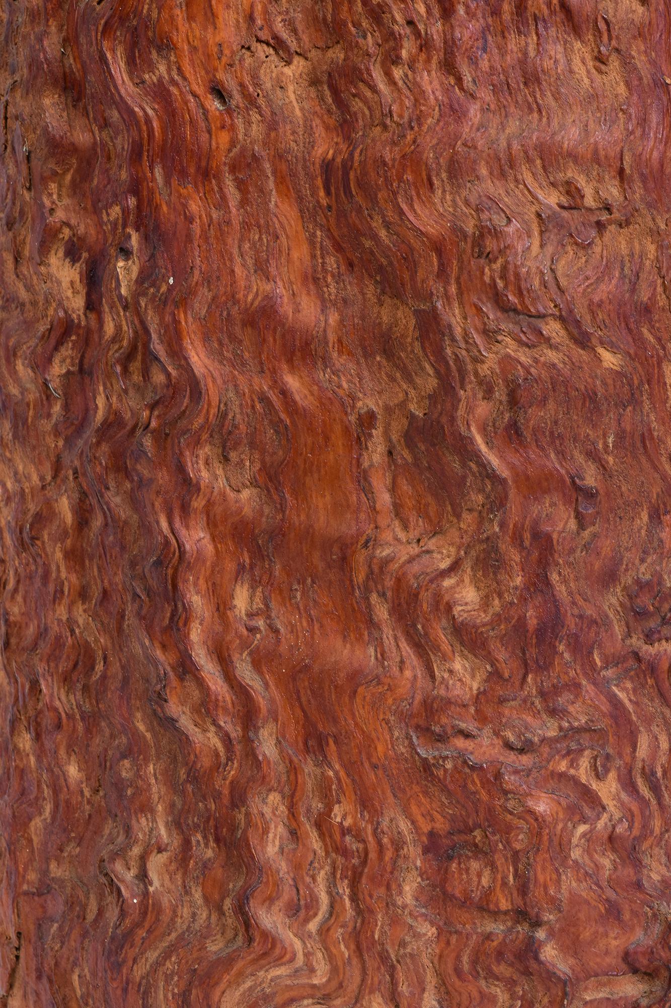 Antico vaso giapponese di grandi dimensioni in legno di radica per pennelli, primi anni del XX secolo in vendita 2