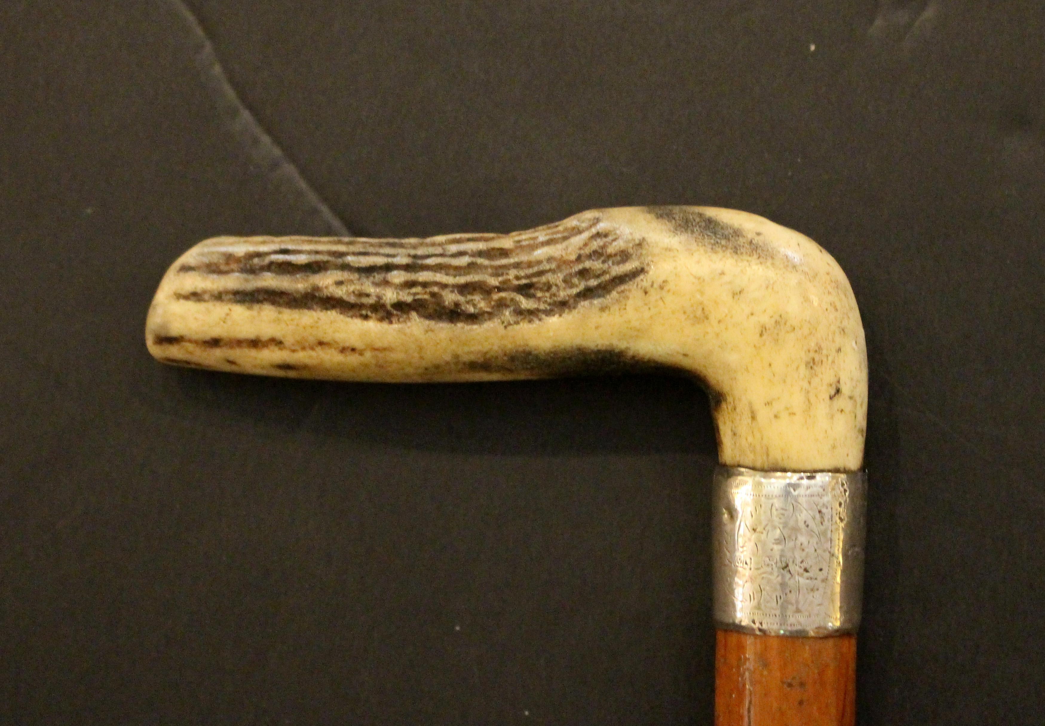 Early 20th century antler handled Malacca walking stick, English. Sterling ferrule made in Chester, England by WL (William Lewis, registered March, 1907). Owner's name & date mark work & illegible. Brass tip, dented. 36