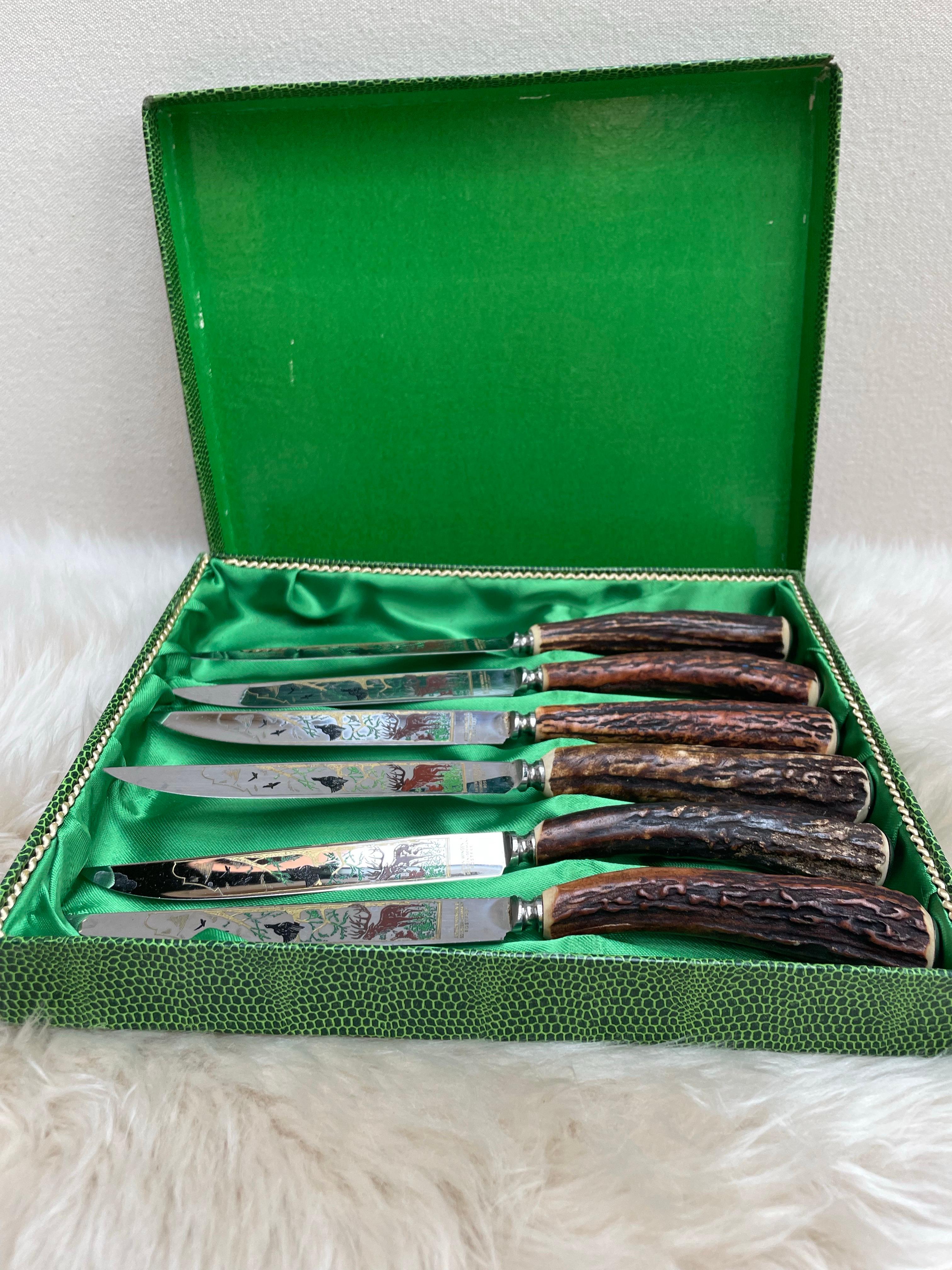 Anfang des 20. Jahrhunderts Anton Wingen JR. Solingen Deutschland Hirschhorn-Messer-Set im Angebot 2