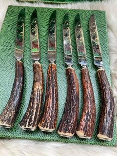 Anfang des 20. Jahrhunderts Anton Wingen JR. Solingen Deutschland Hirschhorn-Messer-Set