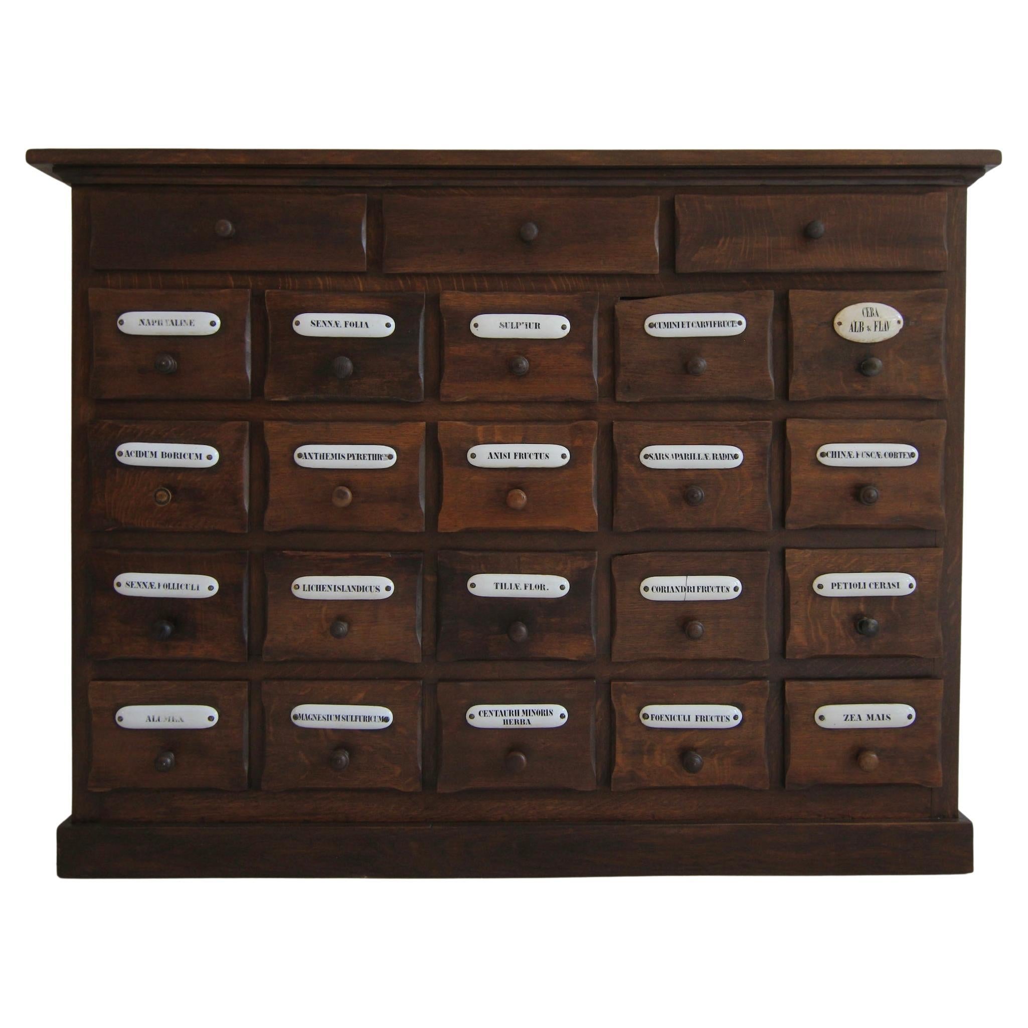 Early 20th Century Apothecary Cabinet or Chest of Drawers