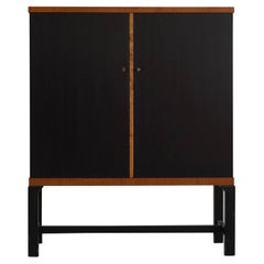 Early 20th Century Art Deco Cabinet in Birch, Made in Sweden