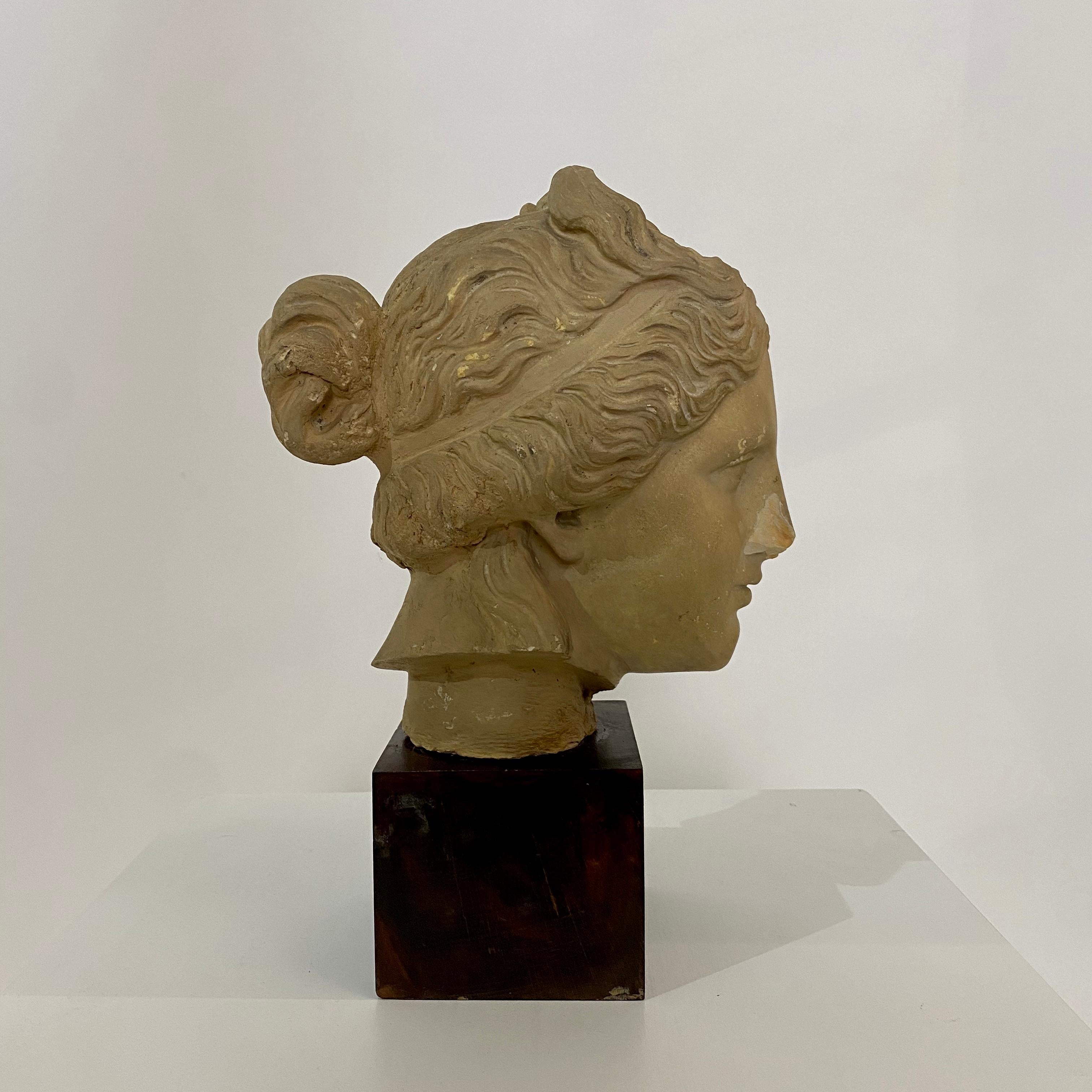 Early 20th Century Art Deco Plaster Bust of a Female Head on Wooden Stand, 1930 2