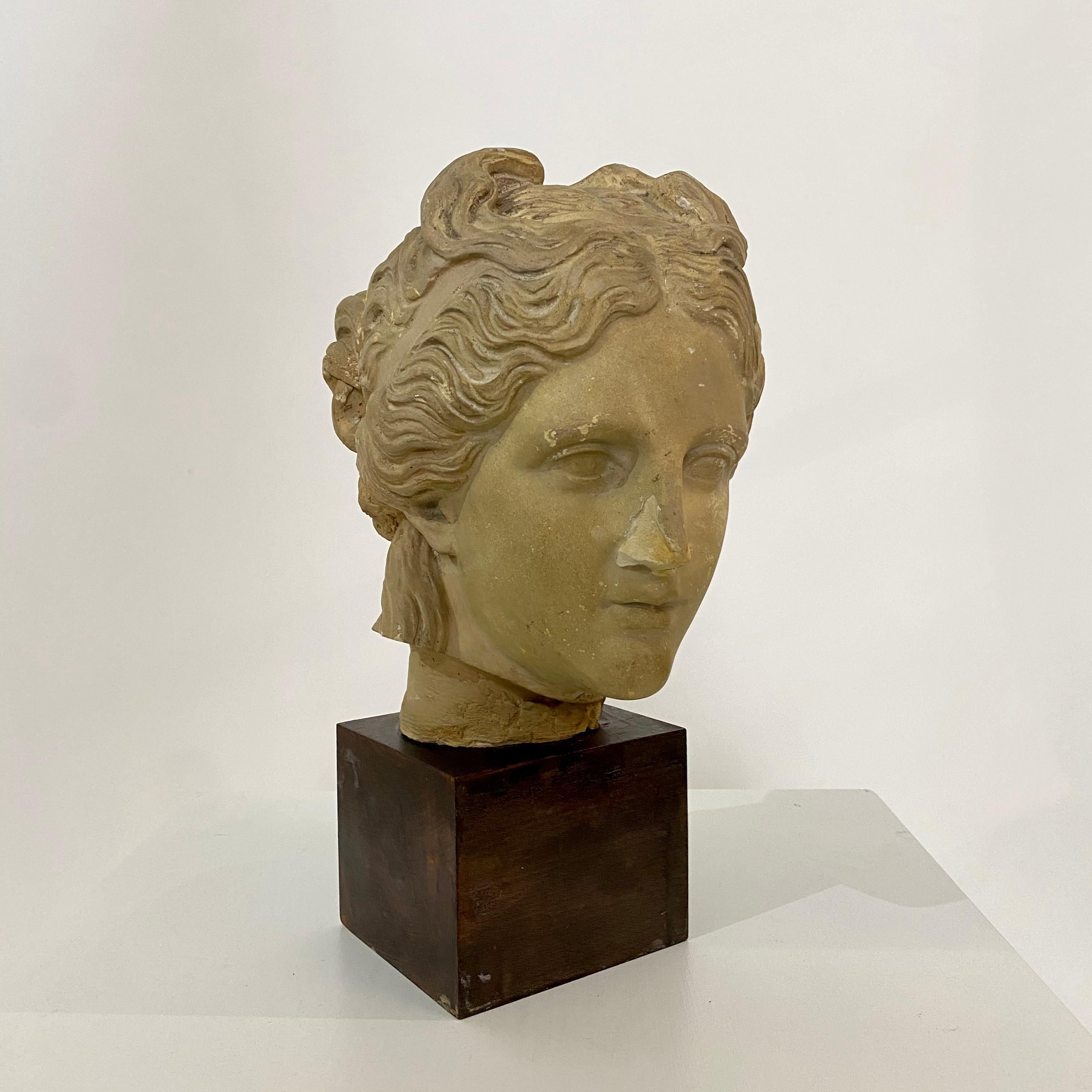 Early 20th Century Art Deco Plaster Bust of a Female Head on Wooden Stand, 1930 3