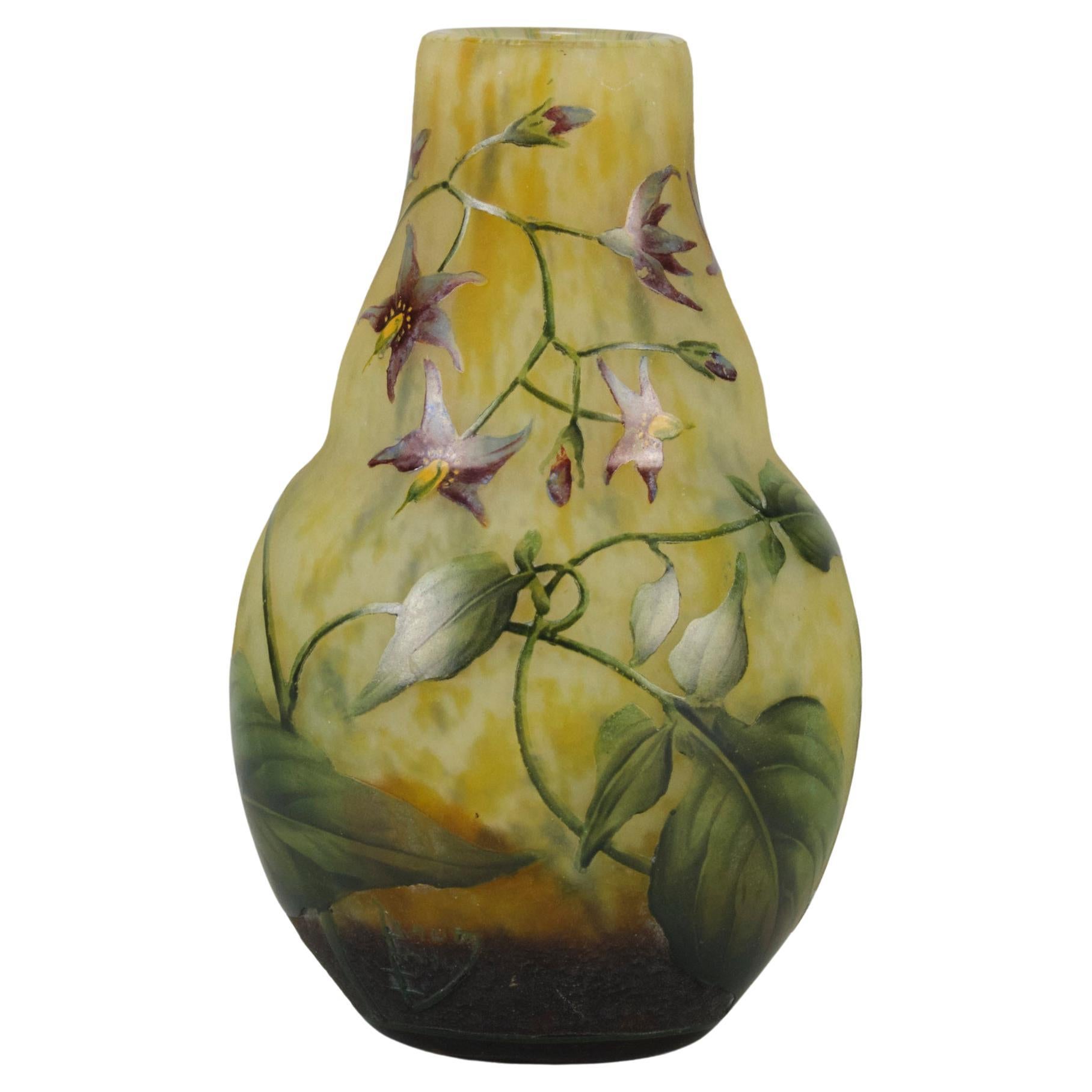 Early 20th Century Art Nouveau Enamelled "Solanaceae Vase" by Daum Frères For Sale