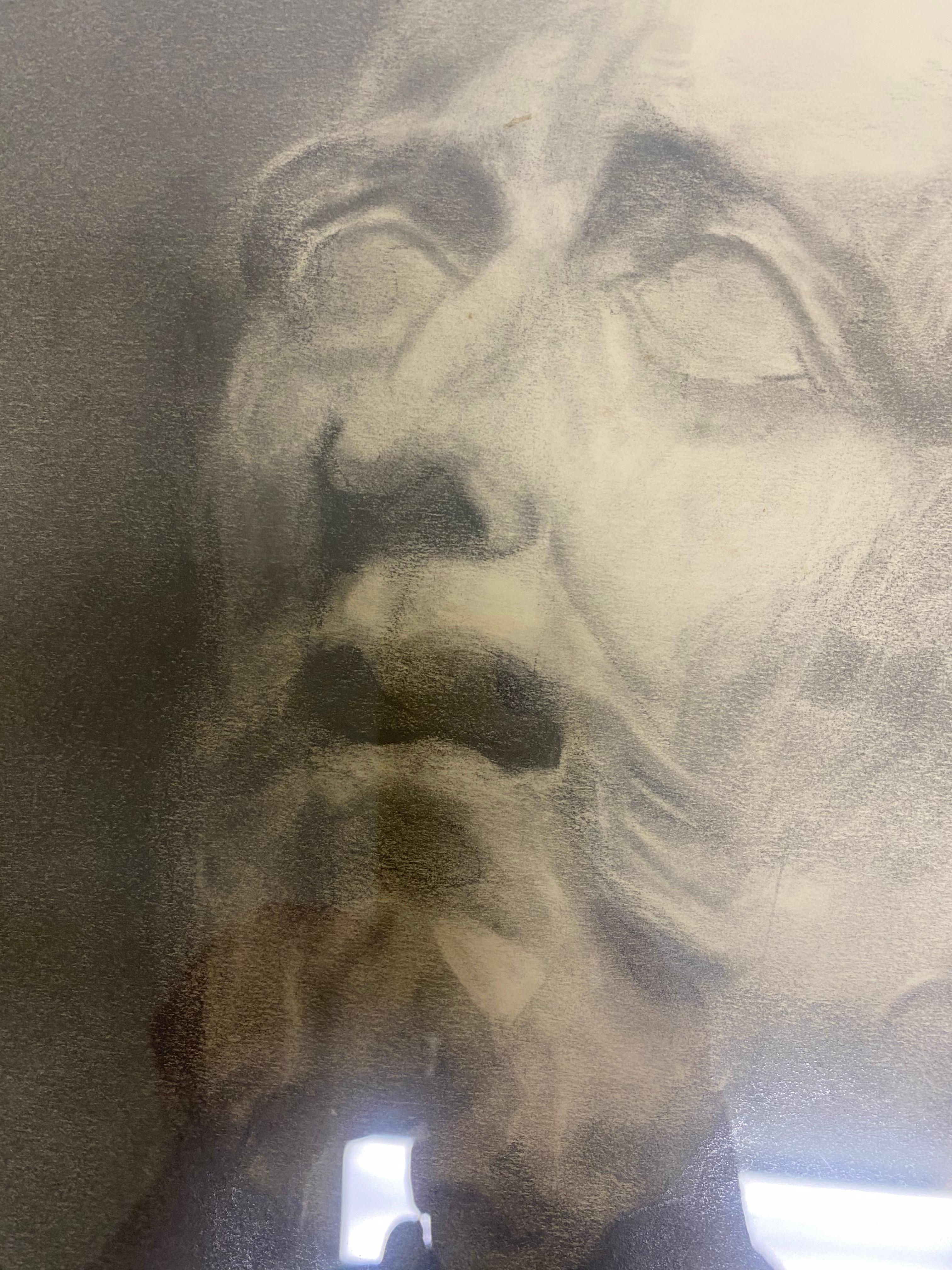 20th Century Early 20th century artist study of a classical bust pencil on paper For Sale