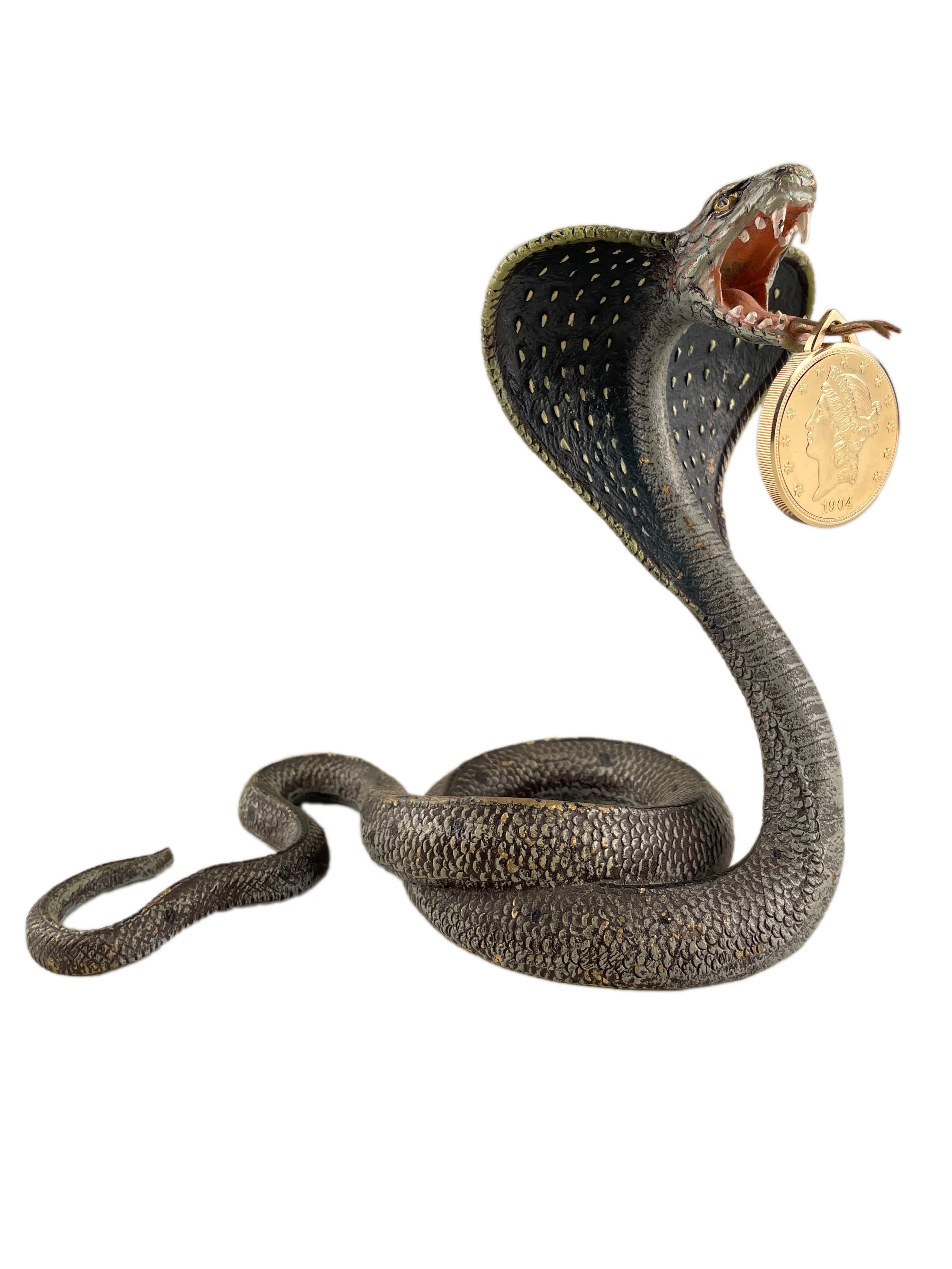 An early 20th century Austrian/Viennese Art Nouveau realistic cold-painted bronze of a cobra snake coiled with its head fanned out and tongue extended outwards. The tongue is long enough to intercept a pocket-watch as photographed. The bronze is
