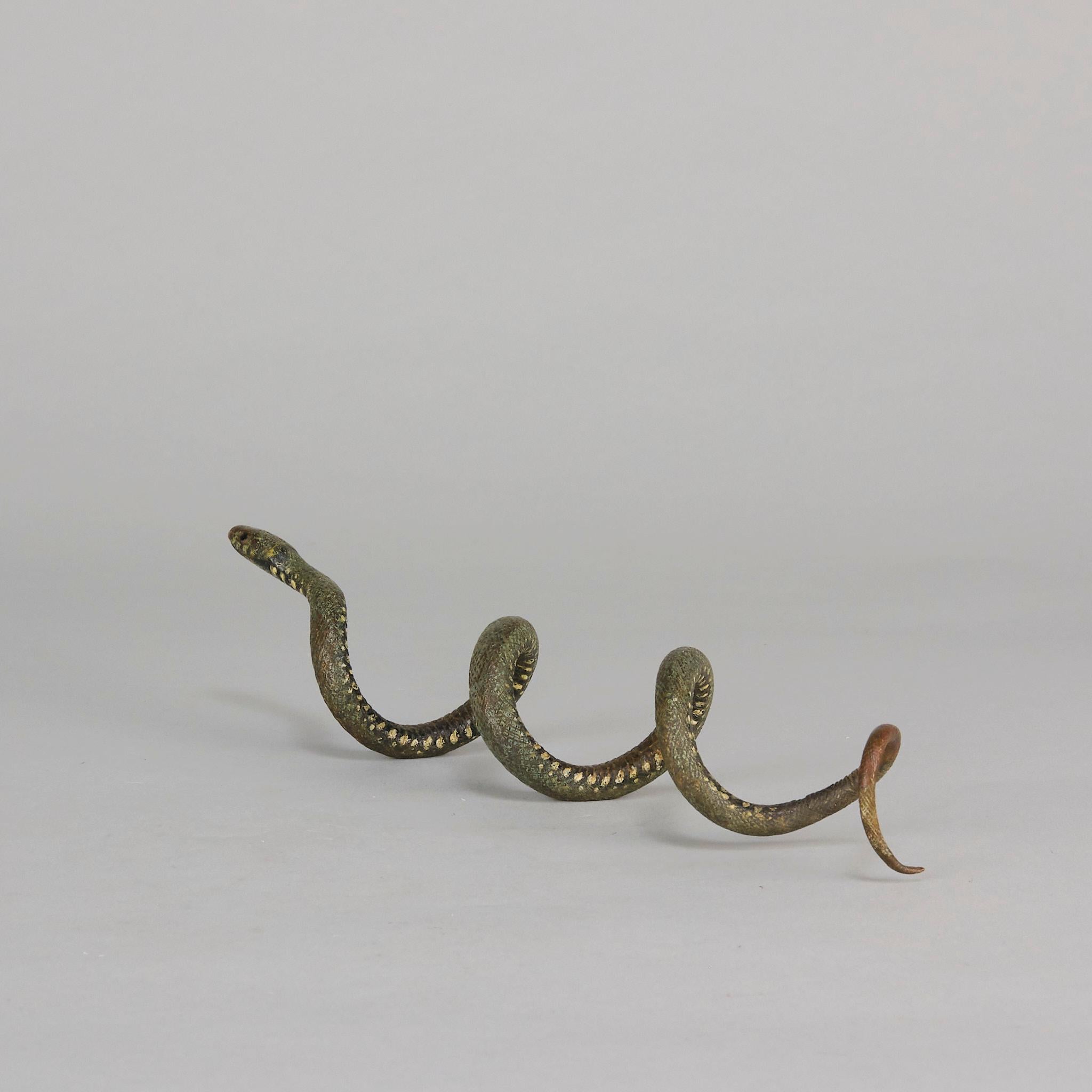 Serpente arricciato di Franz Bergman, bronzo austriaco dipinto a freddo dei primi del Novecento in vendita 2