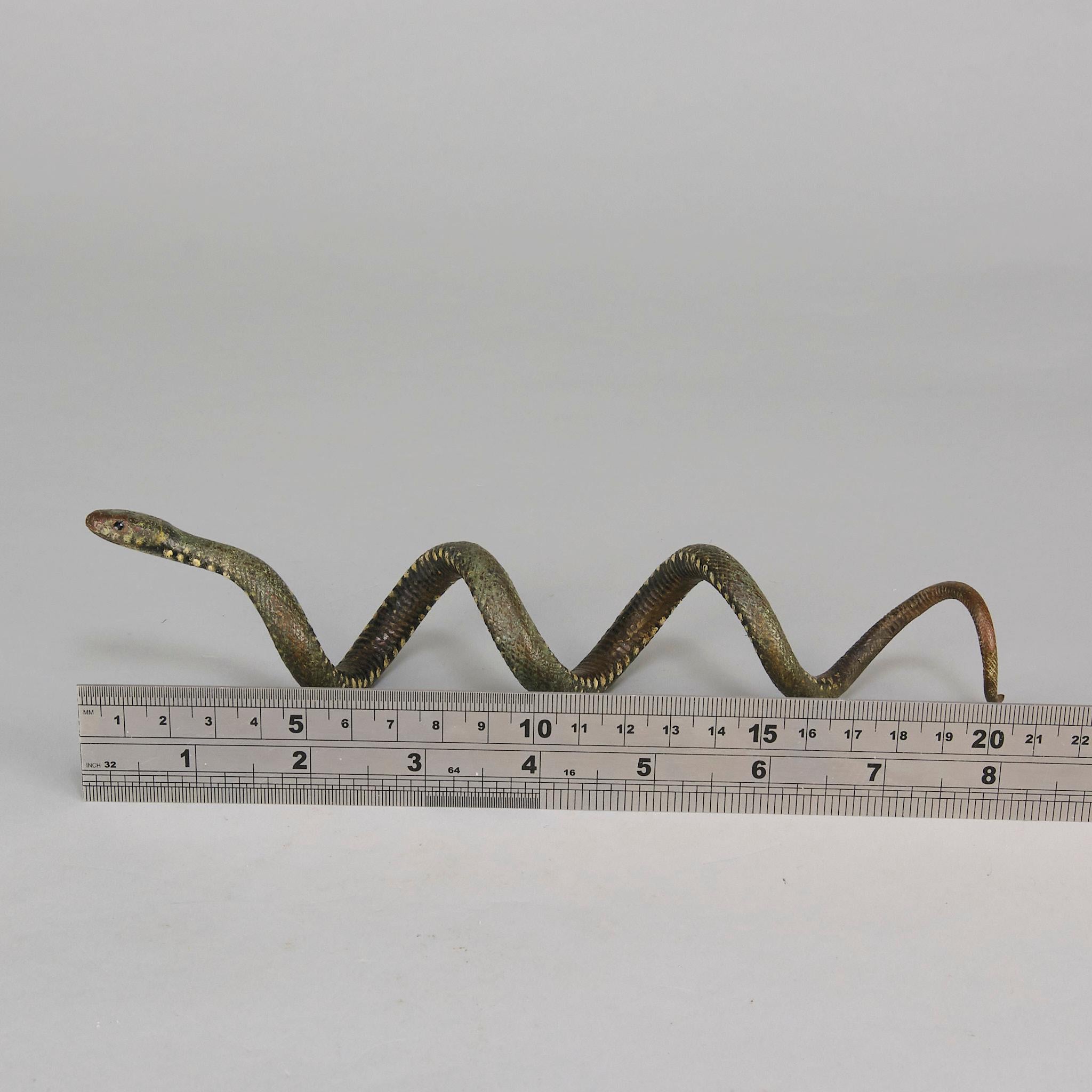 Serpente arricciato di Franz Bergman, bronzo austriaco dipinto a freddo dei primi del Novecento in vendita 3