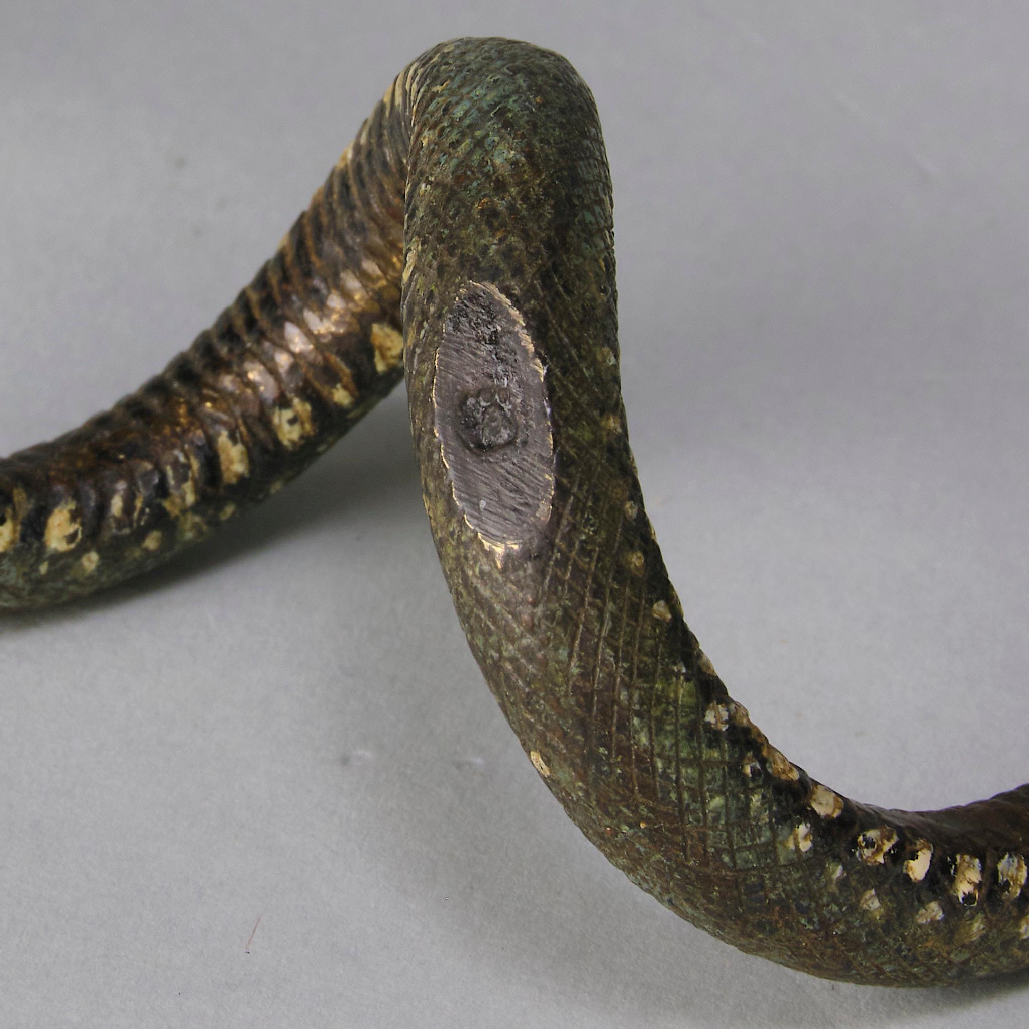 Serpente arricciato di Franz Bergman, bronzo austriaco dipinto a freddo dei primi del Novecento in vendita 4