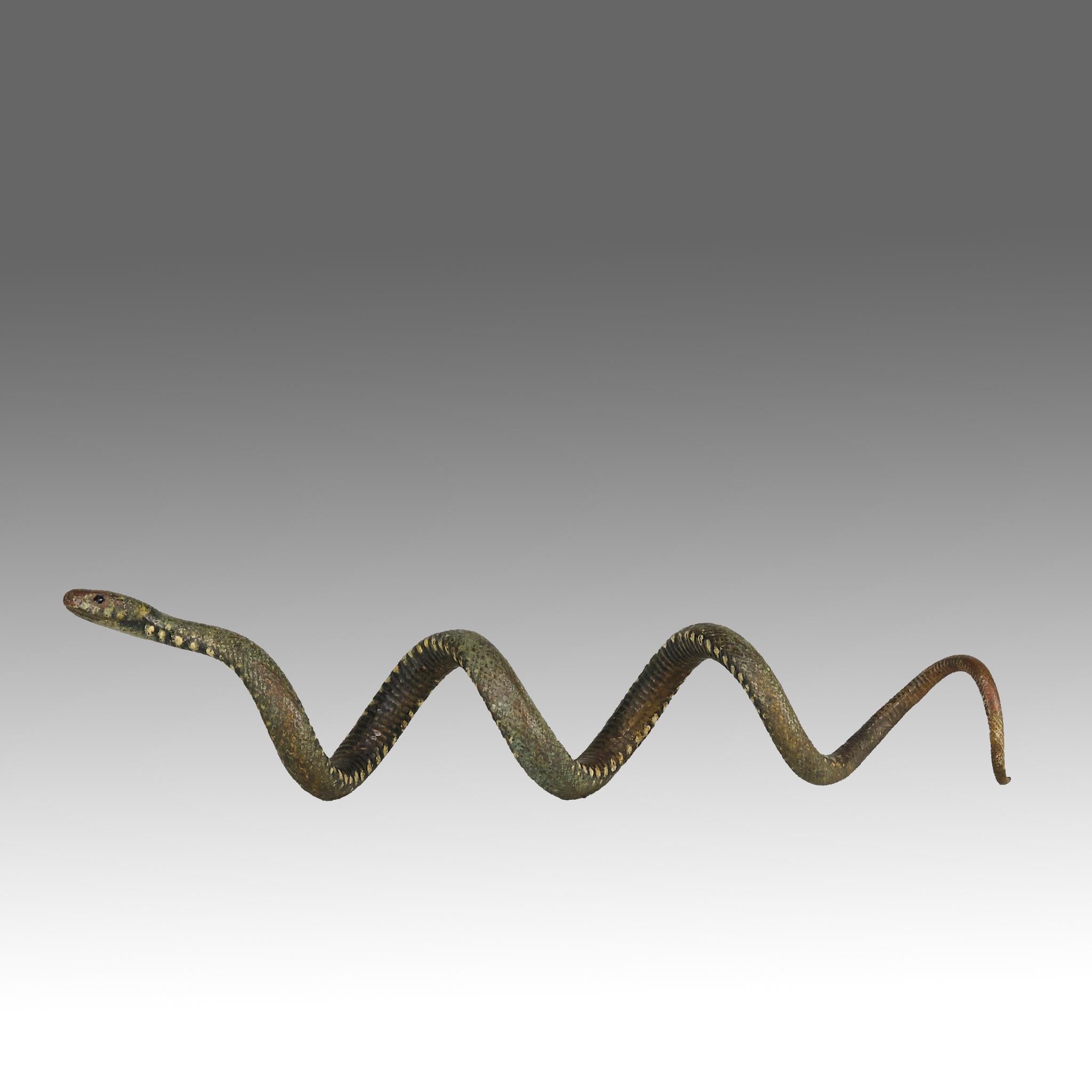 Un raffinato e insolito studio in bronzo austriaco dipinto a freddo dei primi del Novecento raffigurante un serpente arricciato in movimento, con superbi colori naturalistici ed eccellenti dettagli cesellati a mano, firmato con la lettera 