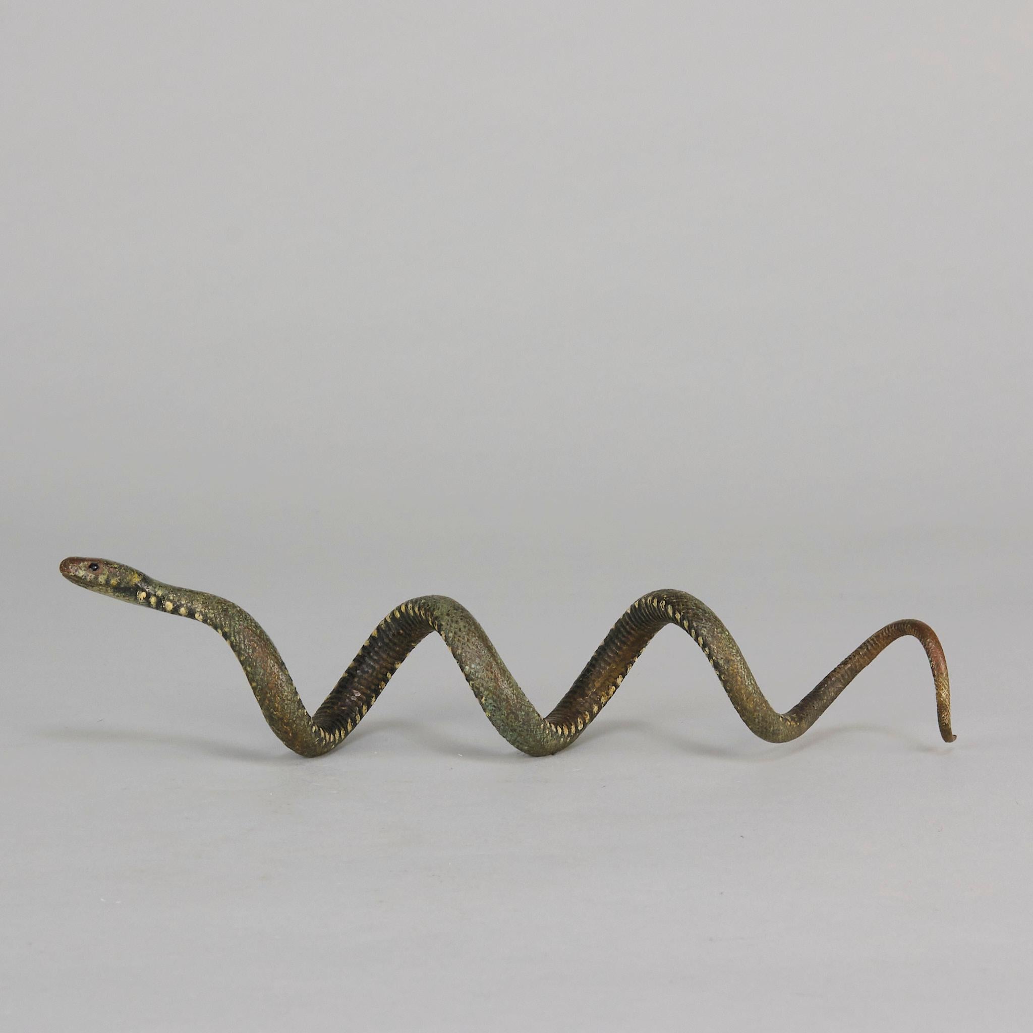 Tardo vittoriano Serpente arricciato di Franz Bergman, bronzo austriaco dipinto a freddo dei primi del Novecento in vendita
