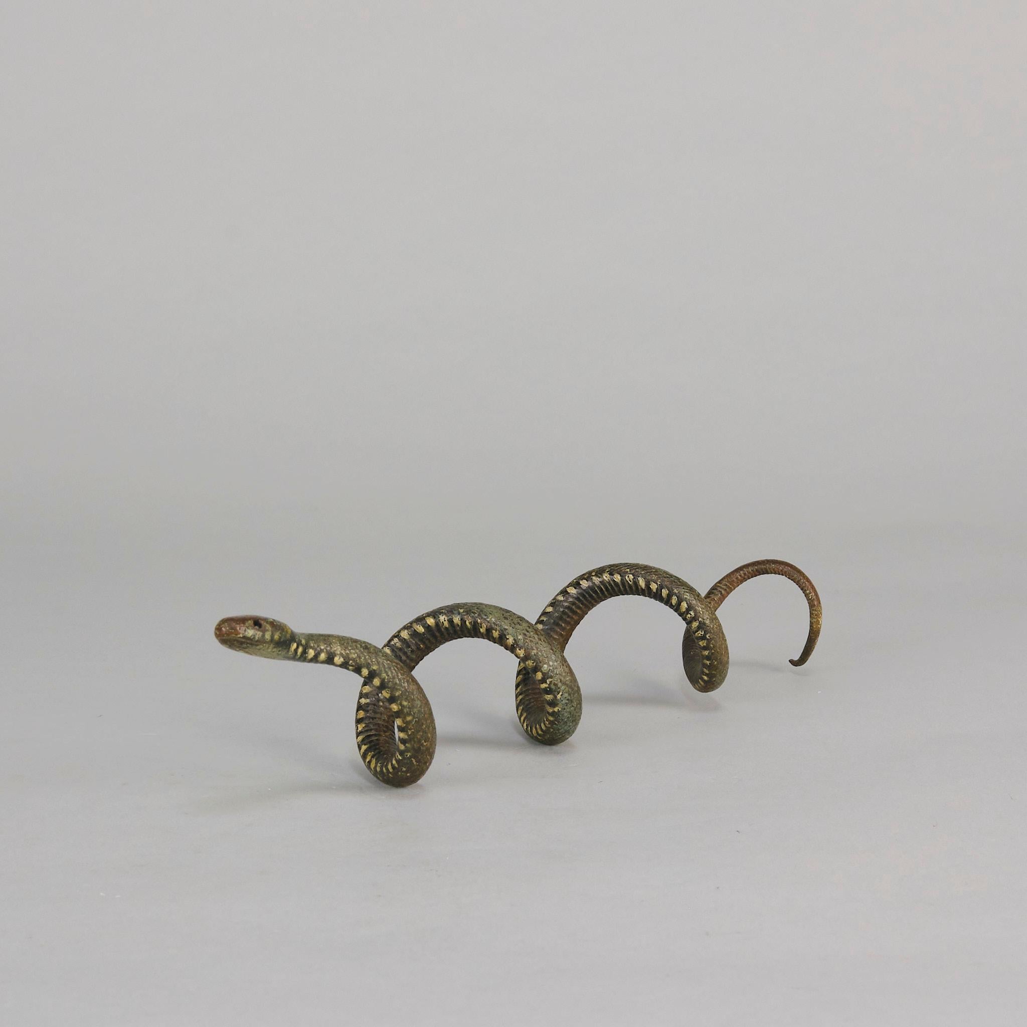 Austriaco Serpente arricciato di Franz Bergman, bronzo austriaco dipinto a freddo dei primi del Novecento in vendita