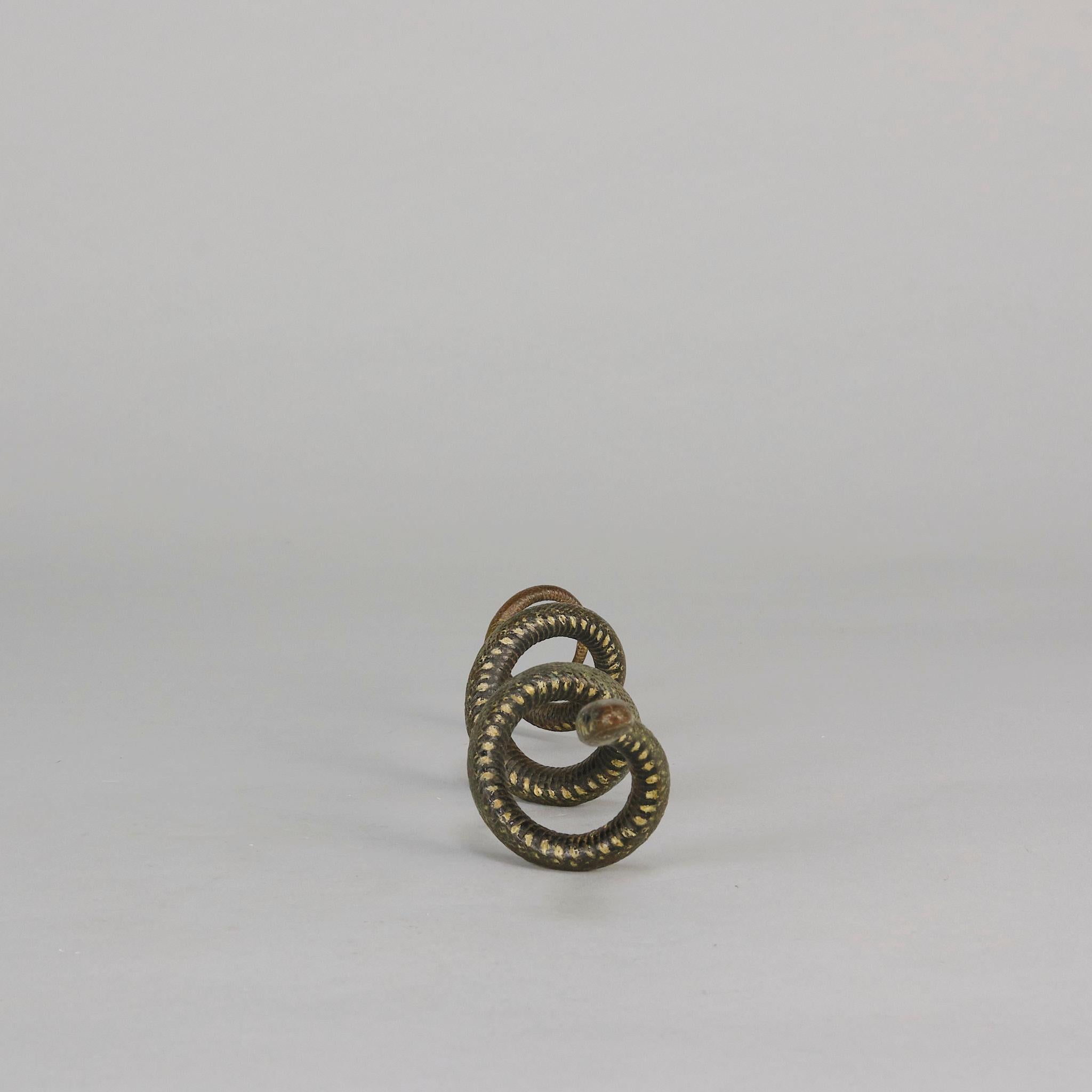 Calco Serpente arricciato di Franz Bergman, bronzo austriaco dipinto a freddo dei primi del Novecento in vendita