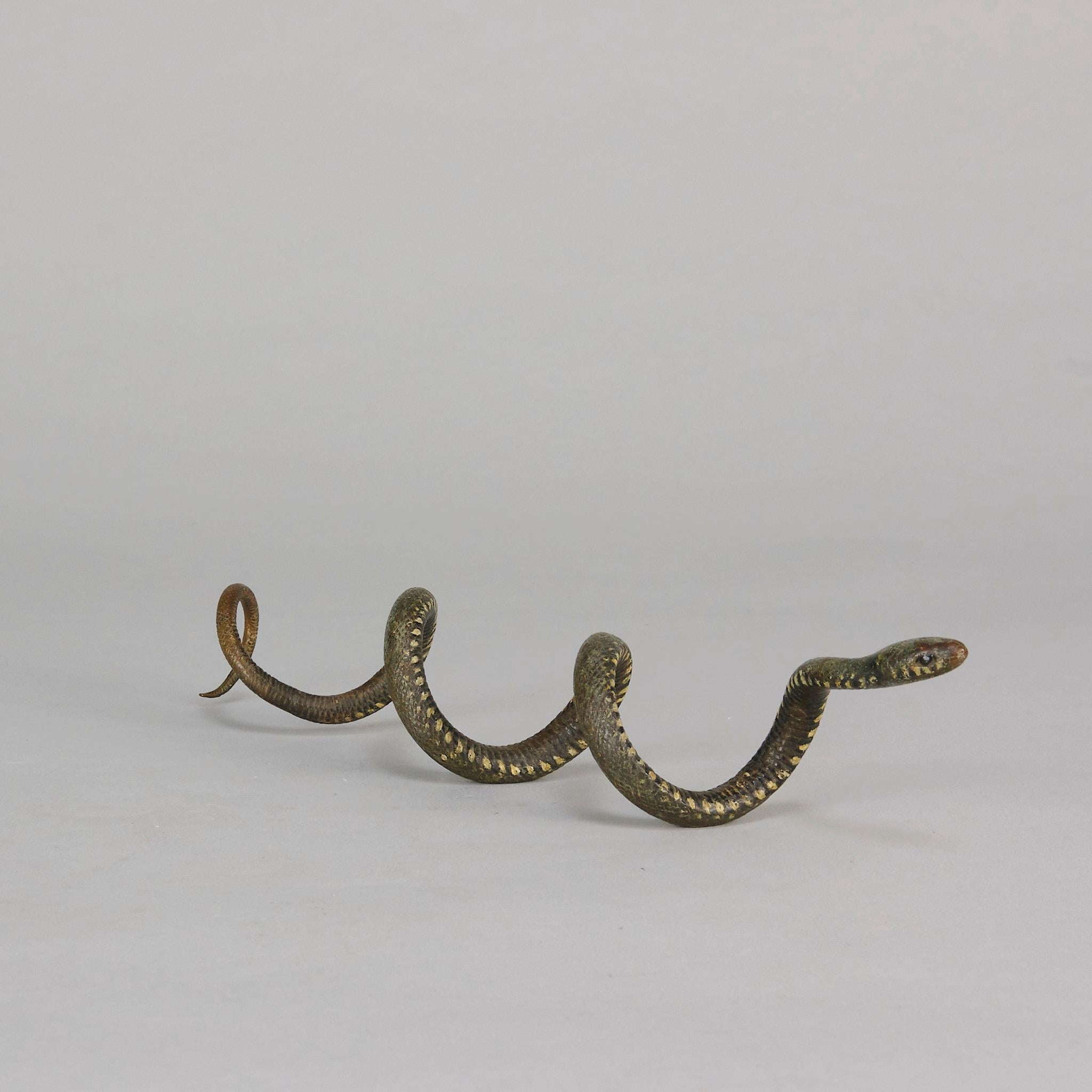 Serpente arricciato di Franz Bergman, bronzo austriaco dipinto a freddo dei primi del Novecento In condizioni ottime in vendita a London, GB