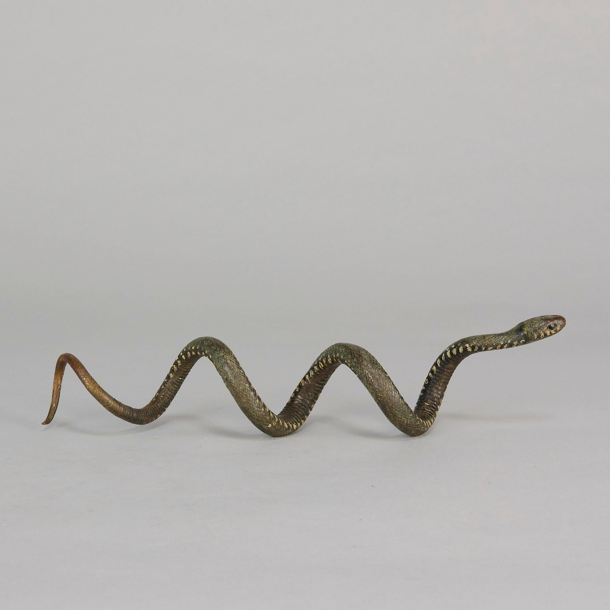 XX secolo Serpente arricciato di Franz Bergman, bronzo austriaco dipinto a freddo dei primi del Novecento in vendita