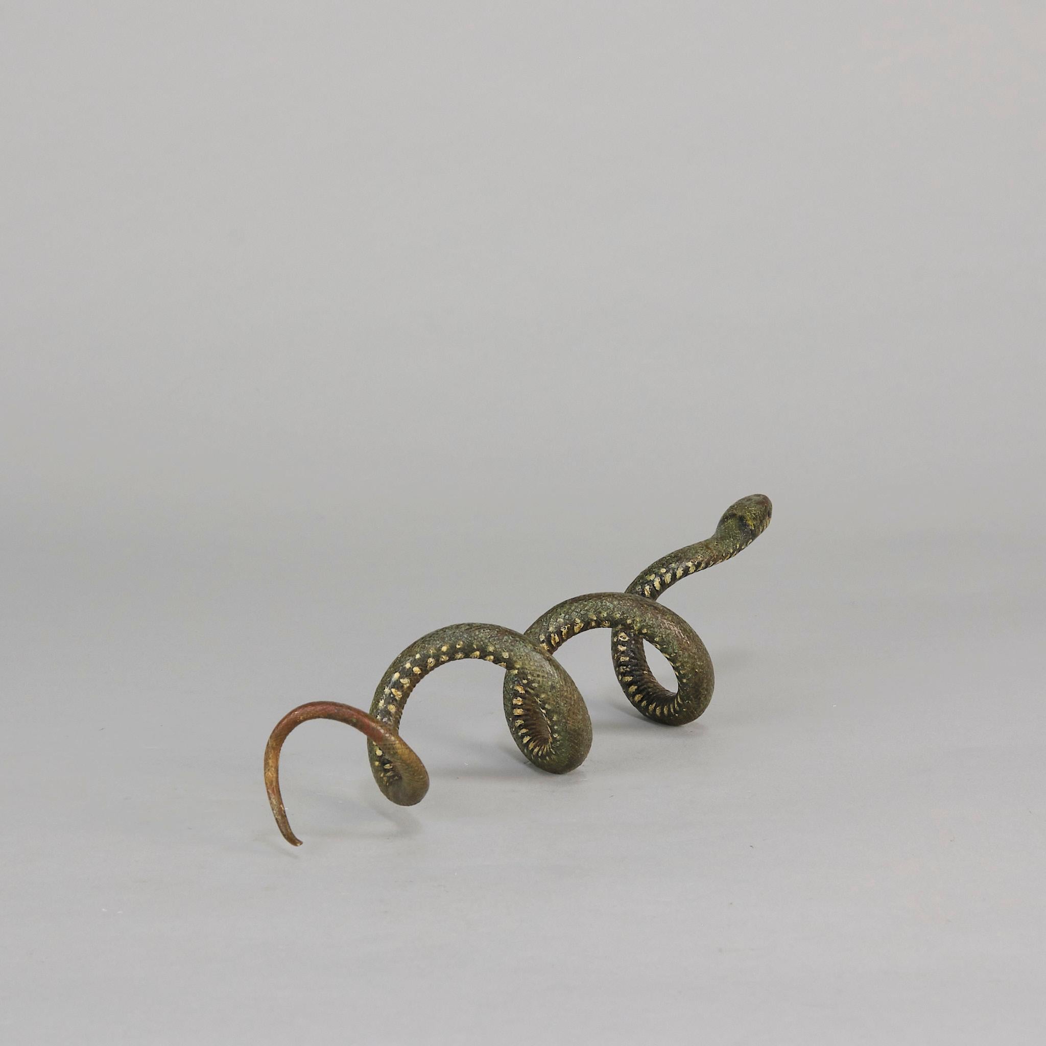 Bronzo Serpente arricciato di Franz Bergman, bronzo austriaco dipinto a freddo dei primi del Novecento in vendita