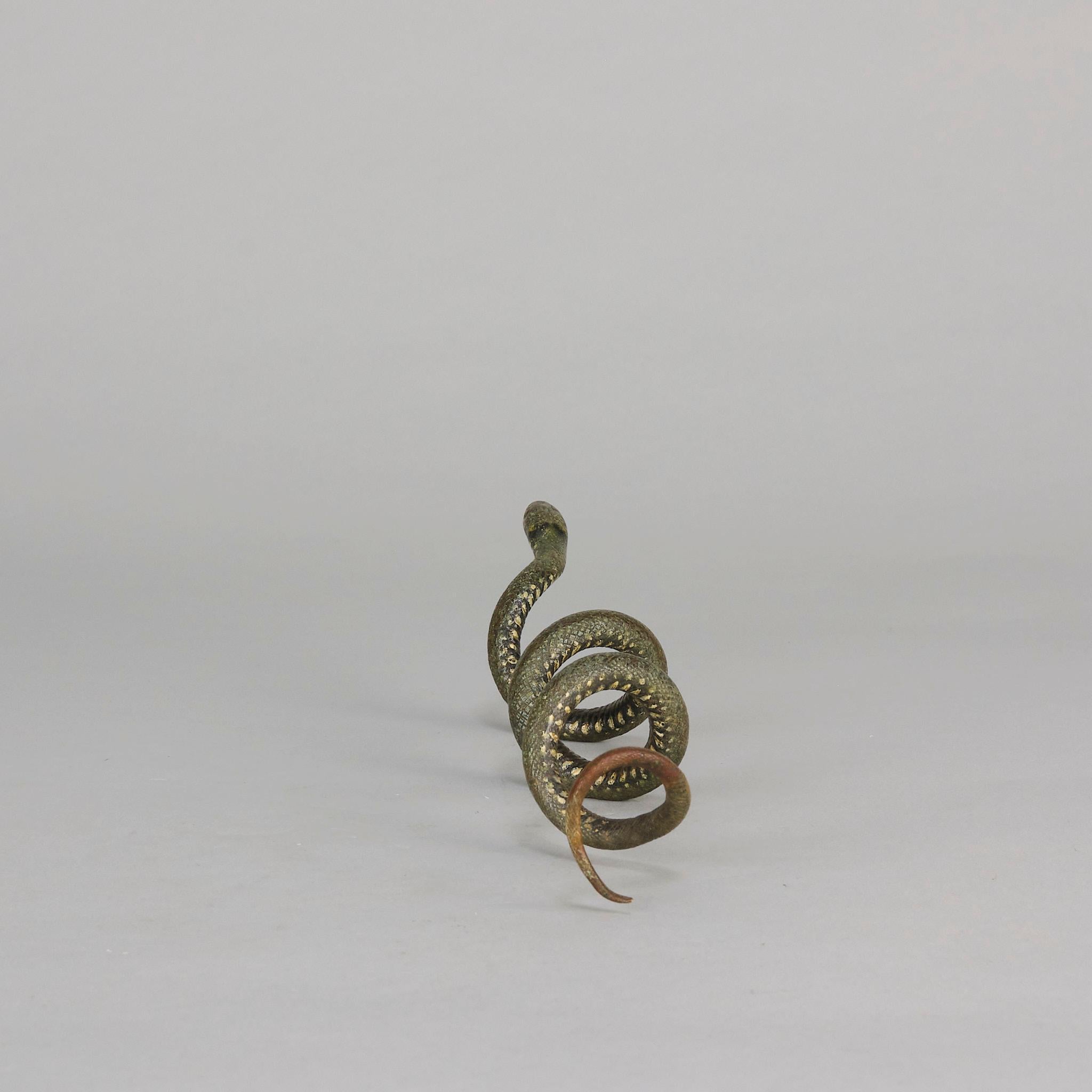 Serpente arricciato di Franz Bergman, bronzo austriaco dipinto a freddo dei primi del Novecento in vendita 1