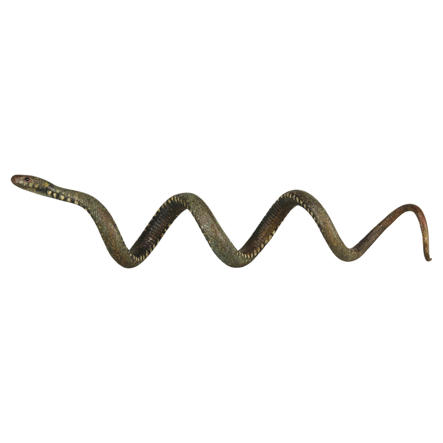 Österreichische Kaltbemalte Bronze „Curled Snake“ von Franz Bergman aus dem frühen 20. Jahrhundert