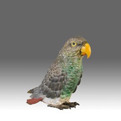 « Perroquet gris » autrichien du début du 20e siècle en bronze peint à froid par Franz Bergman