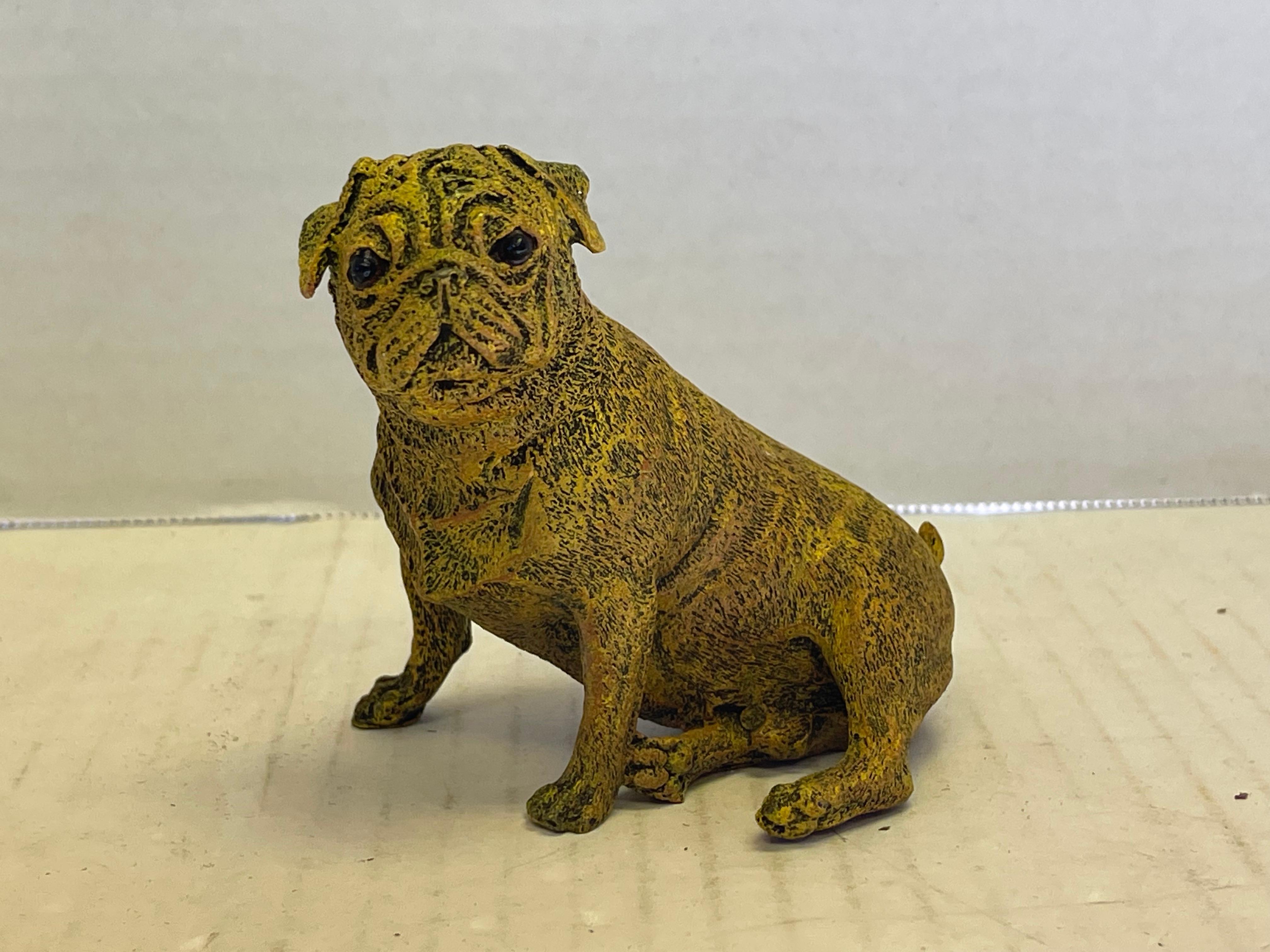 Figurilla / Modelo de Perro Pug de Bronce Pintado en Frío Austriaco de principios del siglo XX Pintado en frío