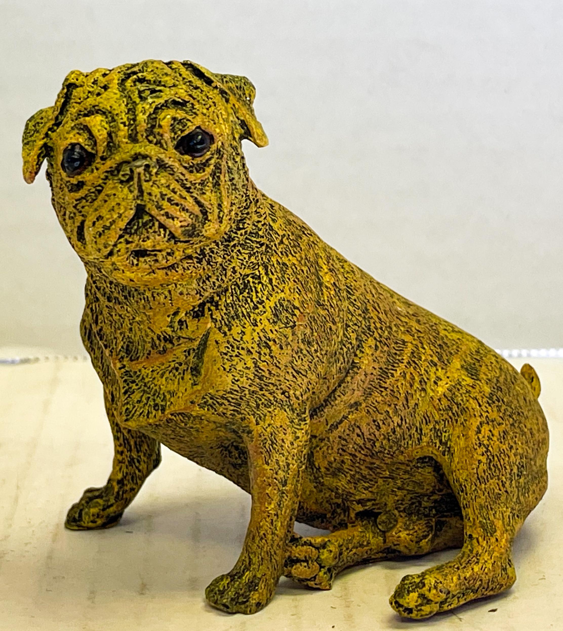 Delightful 19thC/Early 20thC Cold-Painted Bronze of a Pug With a Toothache