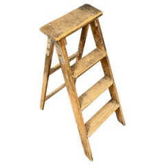 Early 20th Century Austrian Library Ladder, Antique Folk Art