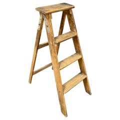 Early 20th Century Austrian Library Ladder, Vintage Folk Art