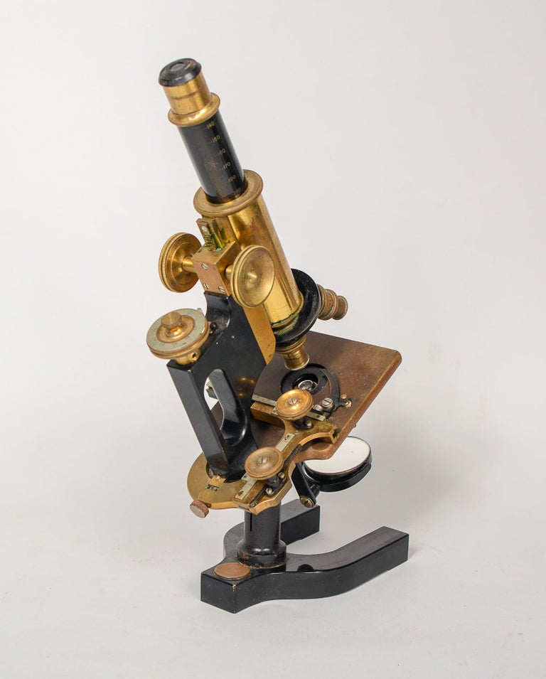 Early 20th Century Bausch and Lomb Jug Handle Microscope For Sale at