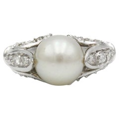Early 20th Century Belle Époque White Gold Pearl & Diamond Daisy Ring
