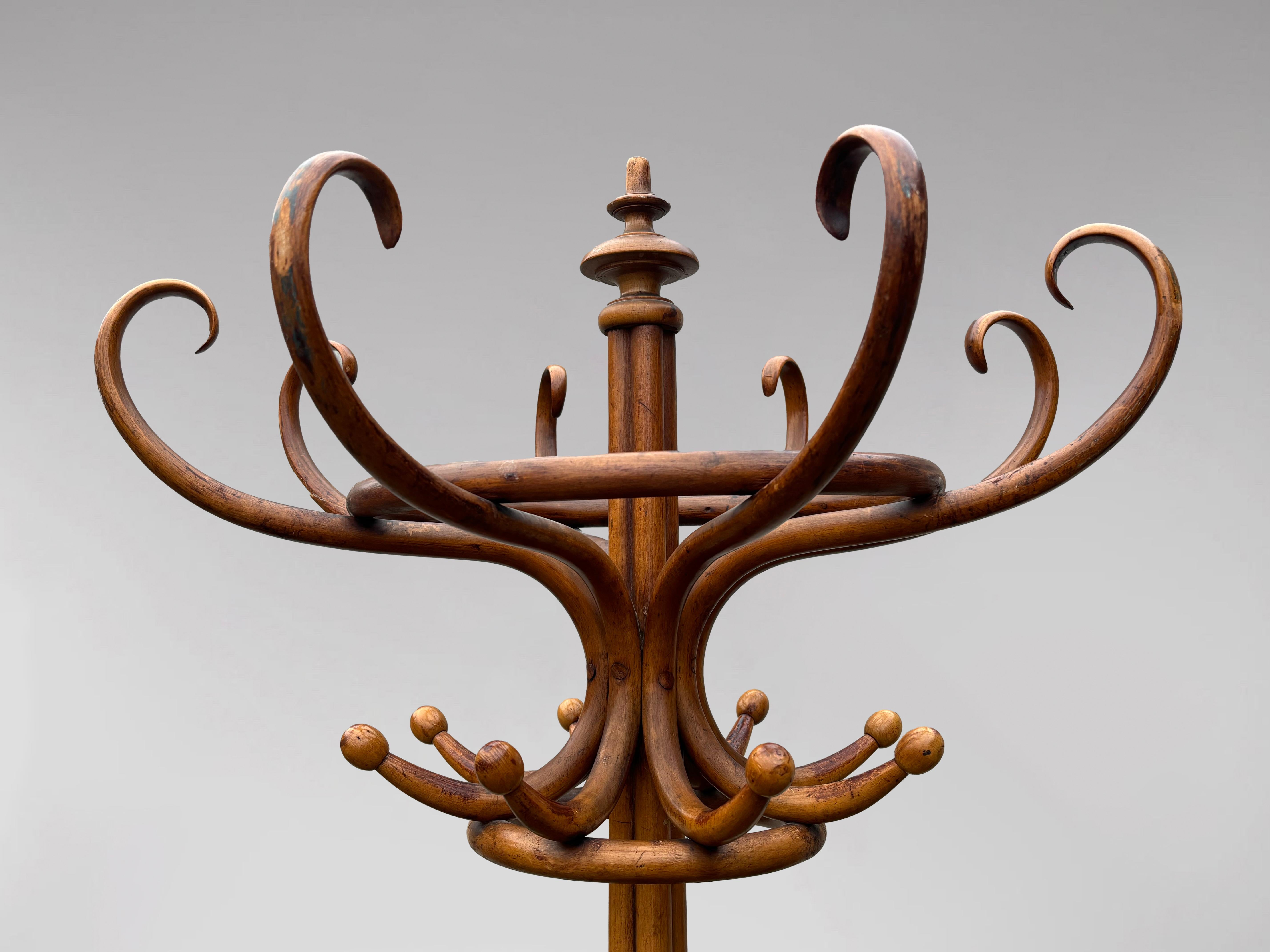 Anfang des 20. Jahrhunderts Thonet Perroquet Garderobenständer aus Bugholz (Handgefertigt)