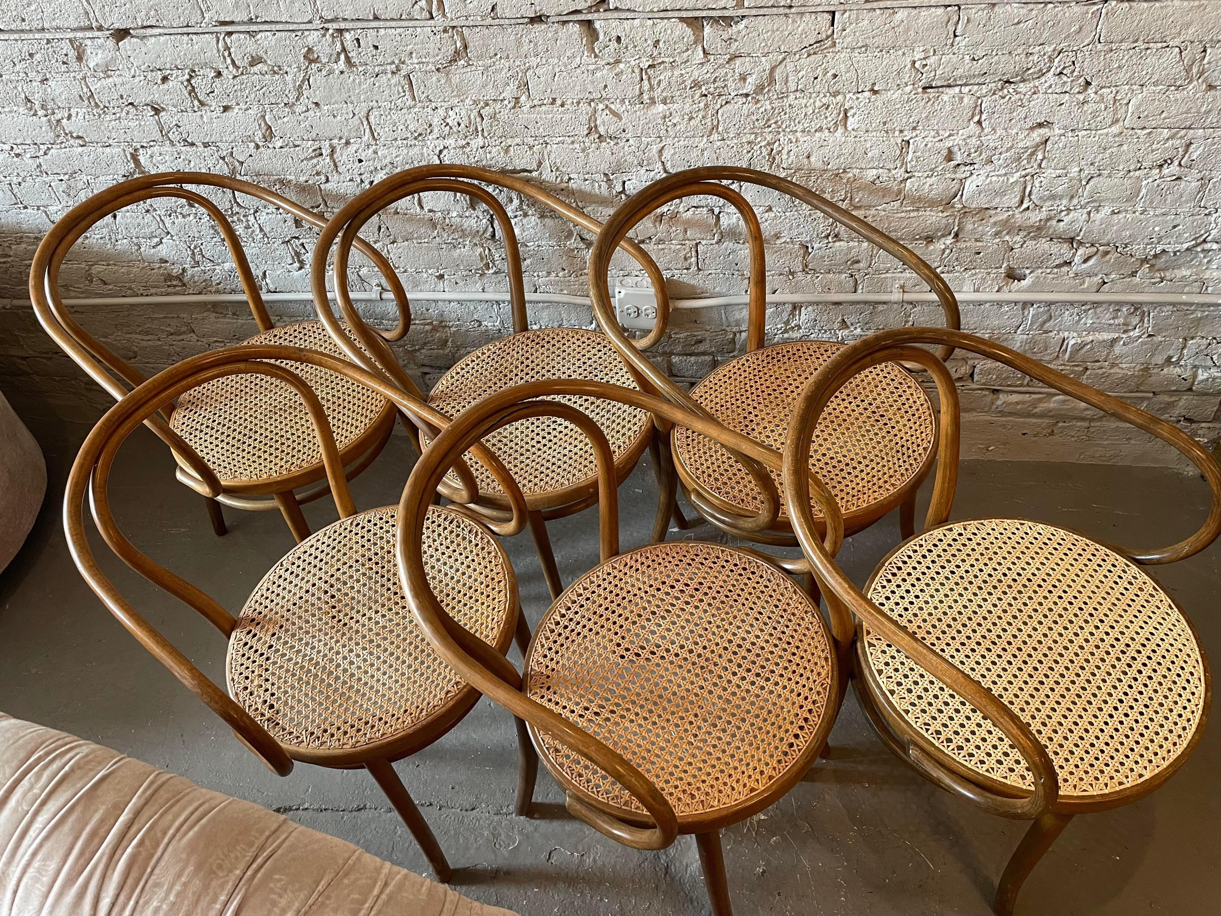 Early 20th Century Bentwood Thonet Style Cane Dining Chairs, Set of 6 7