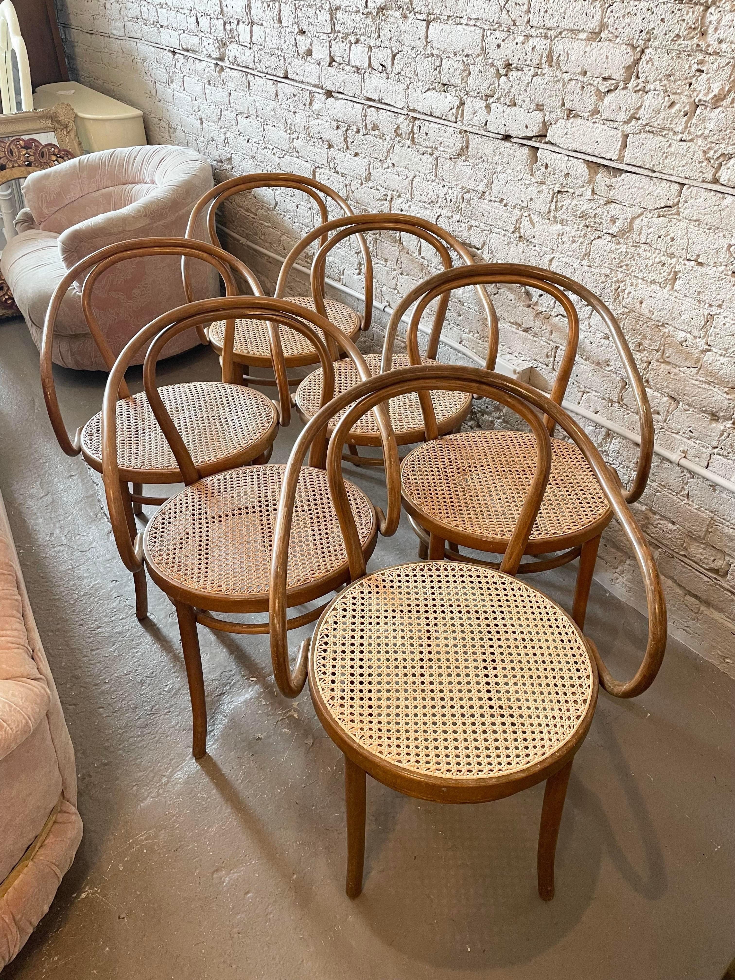Early 20th Century Bentwood Thonet Style Cane Dining Chairs, Set of 6 8