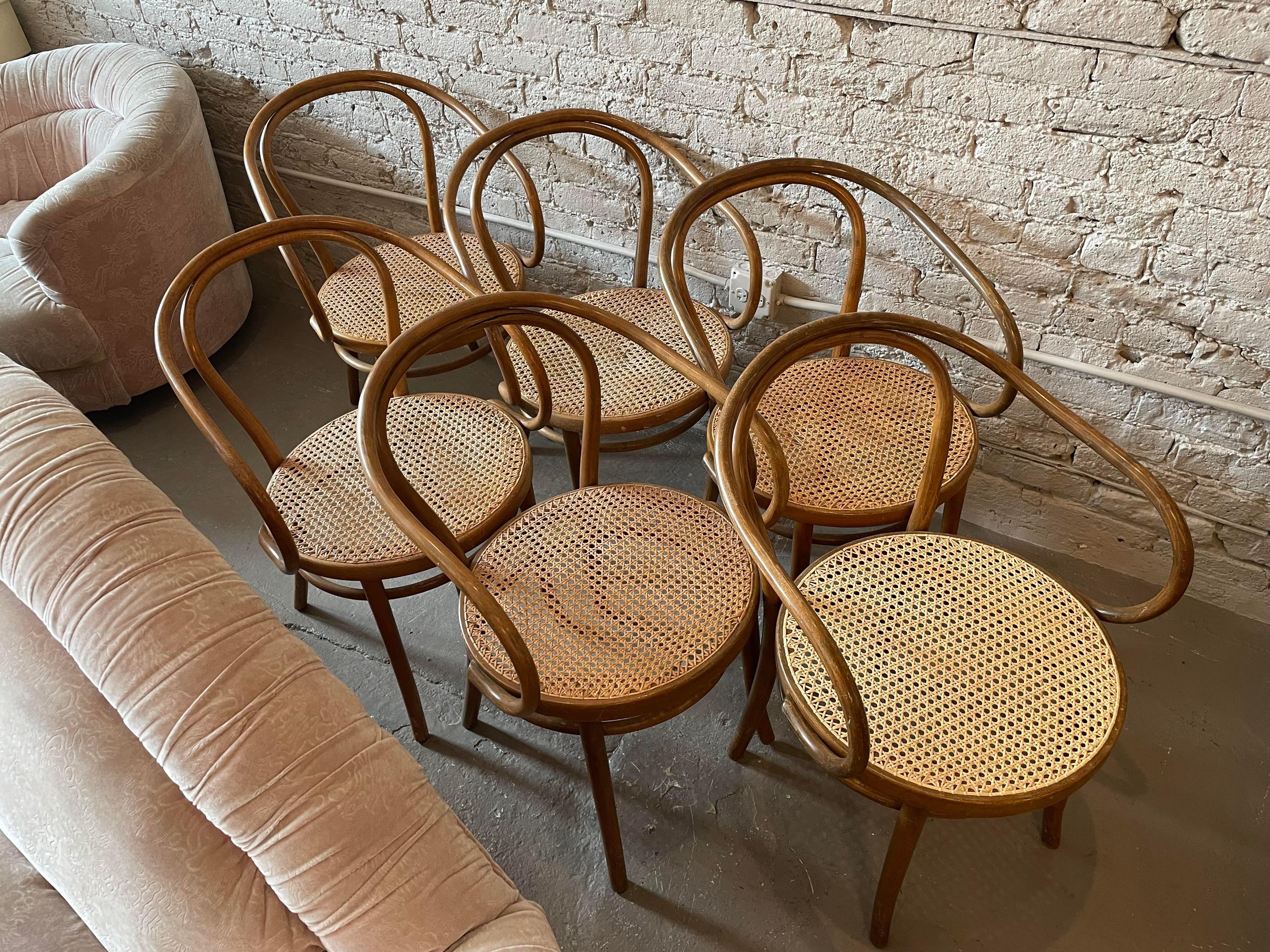 Mid-Century Modern Early 20th Century Bentwood Thonet Style Cane Dining Chairs, Set of 6
