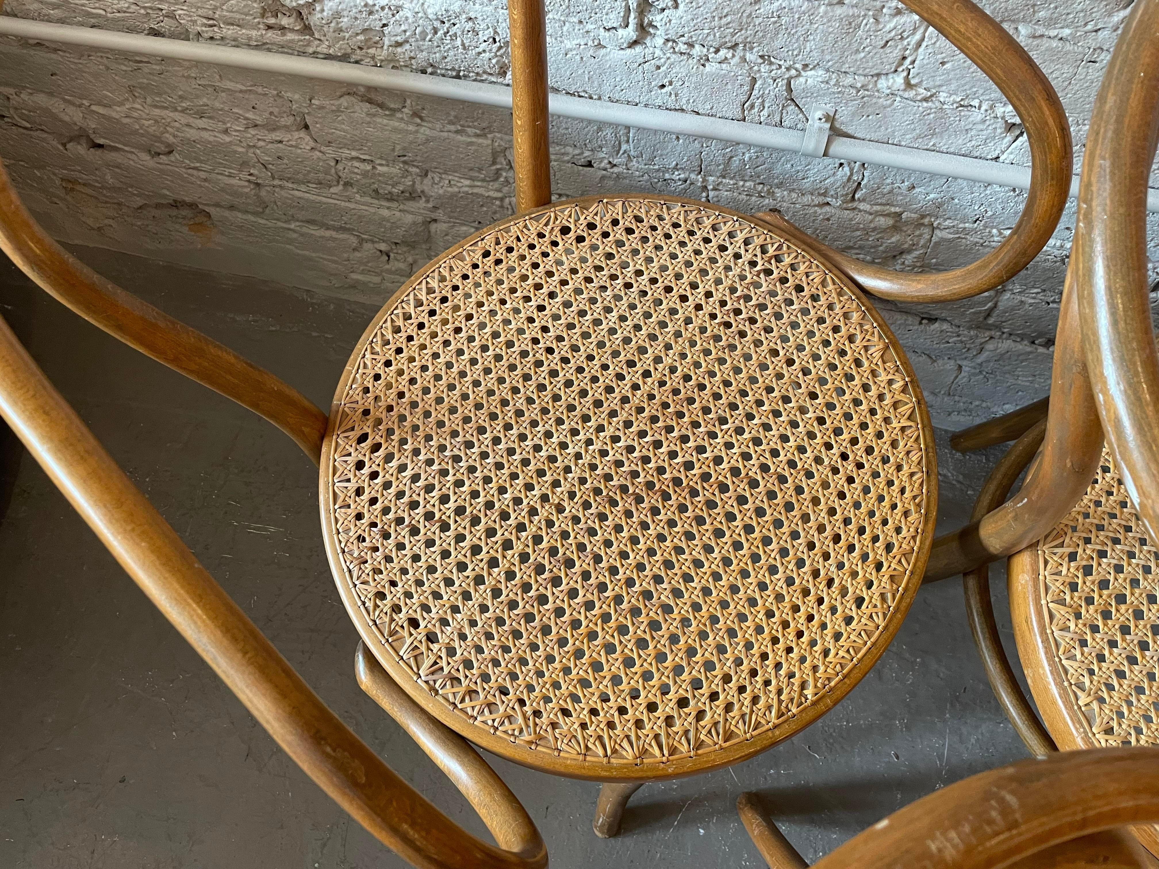 Early 20th Century Bentwood Thonet Style Cane Dining Chairs, Set of 6 In Good Condition In Chicago, IL