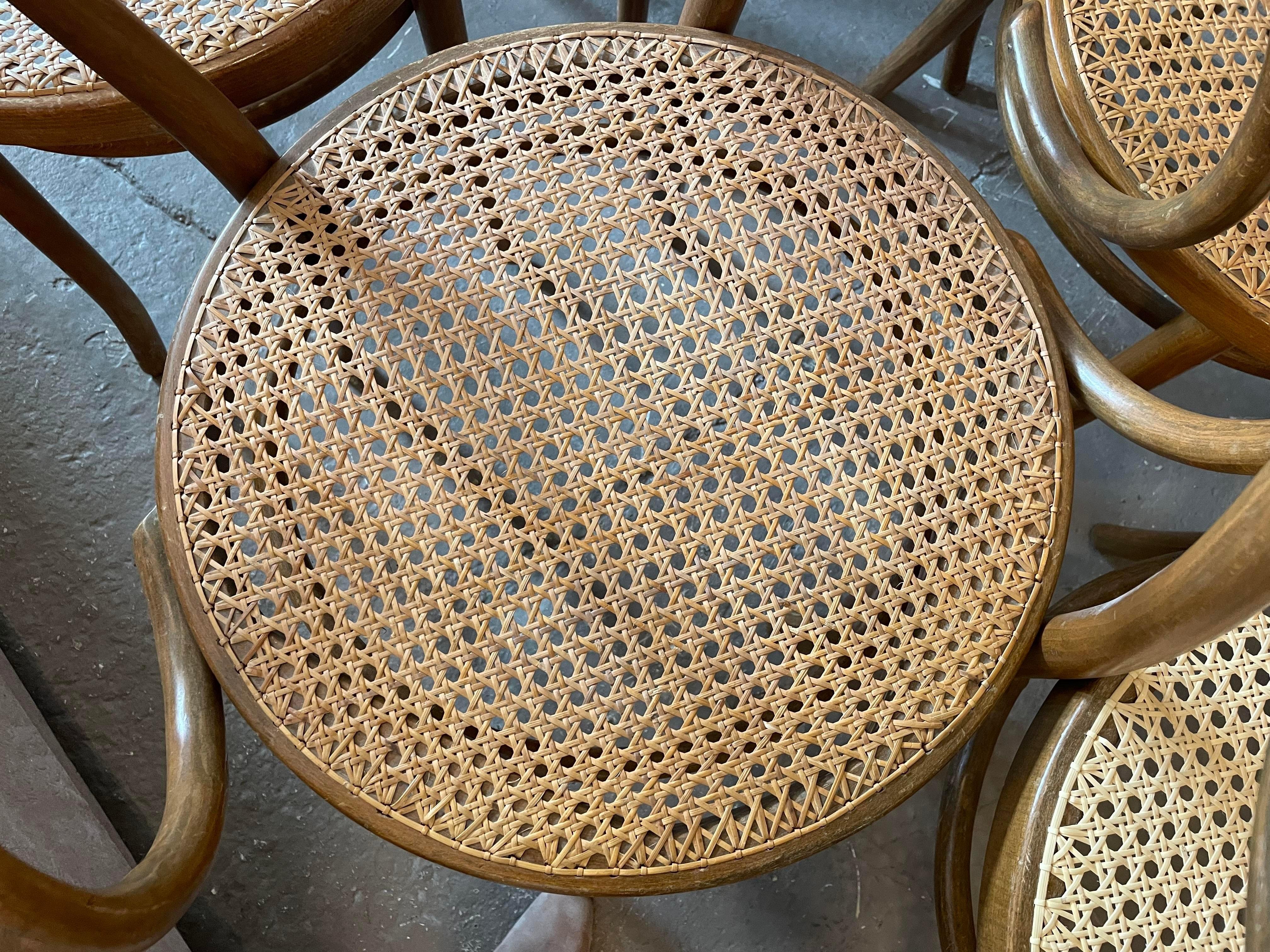 Early 20th Century Bentwood Thonet Style Cane Dining Chairs, Set of 6 1