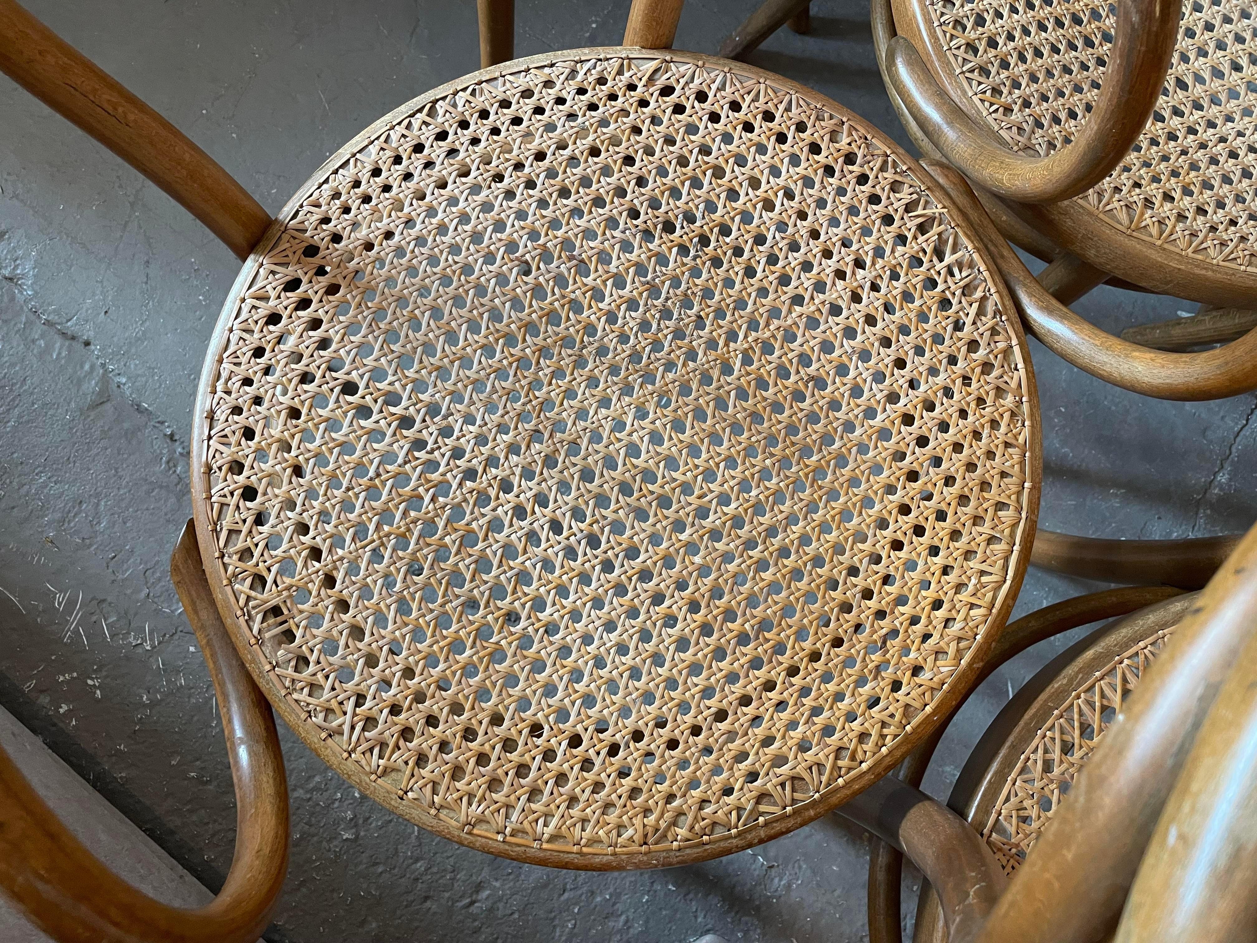 Early 20th Century Bentwood Thonet Style Cane Dining Chairs, Set of 6 2