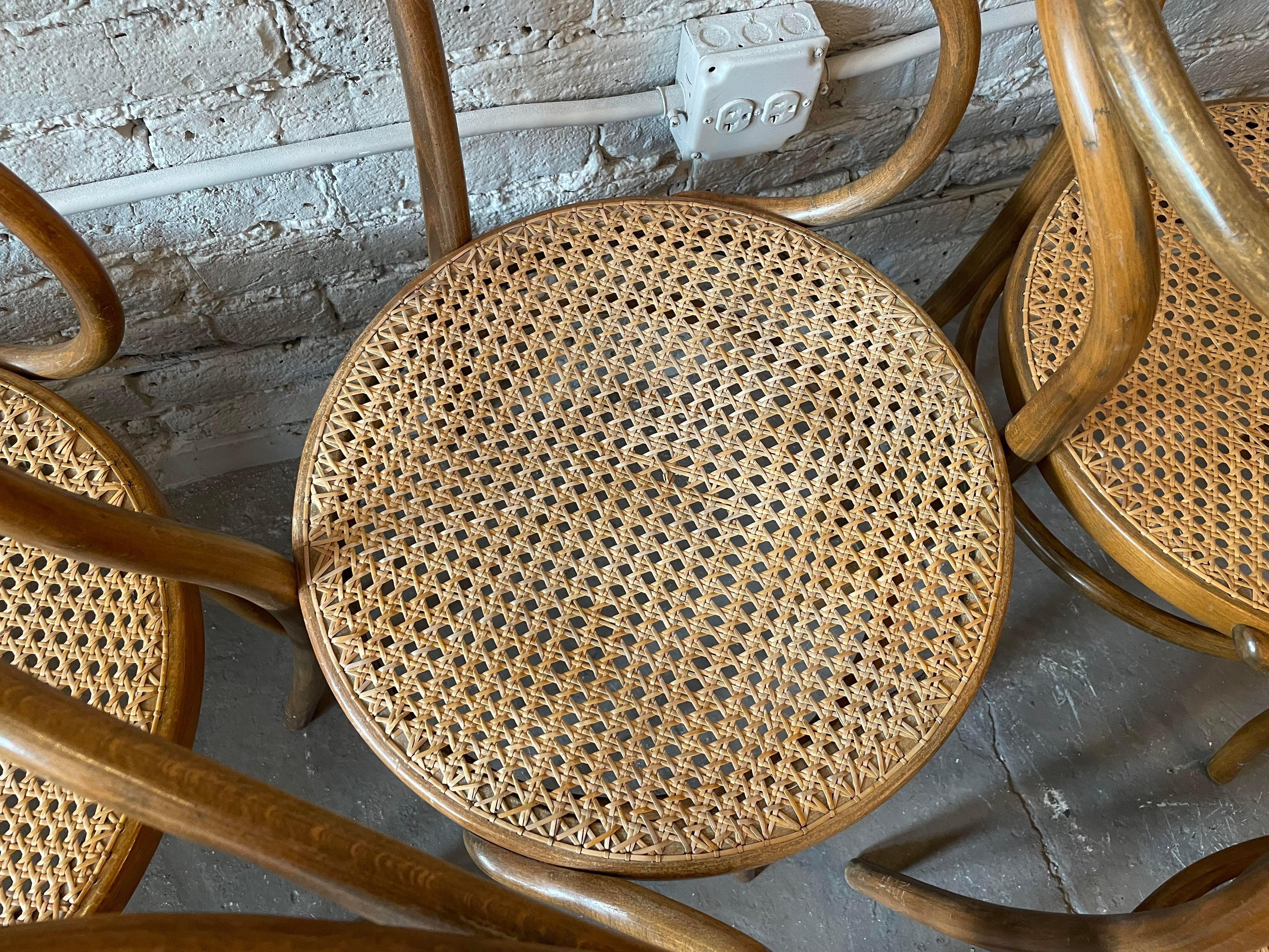 Early 20th Century Bentwood Thonet Style Cane Dining Chairs, Set of 6 3