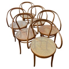 Early 20th Century Bentwood Thonet Style Cane Dining Chairs, Set of 6