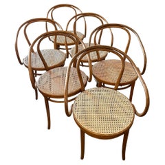 Antique Early 20th Century Bentwood Thonet Style Cane Dining Chairs, Set of 6