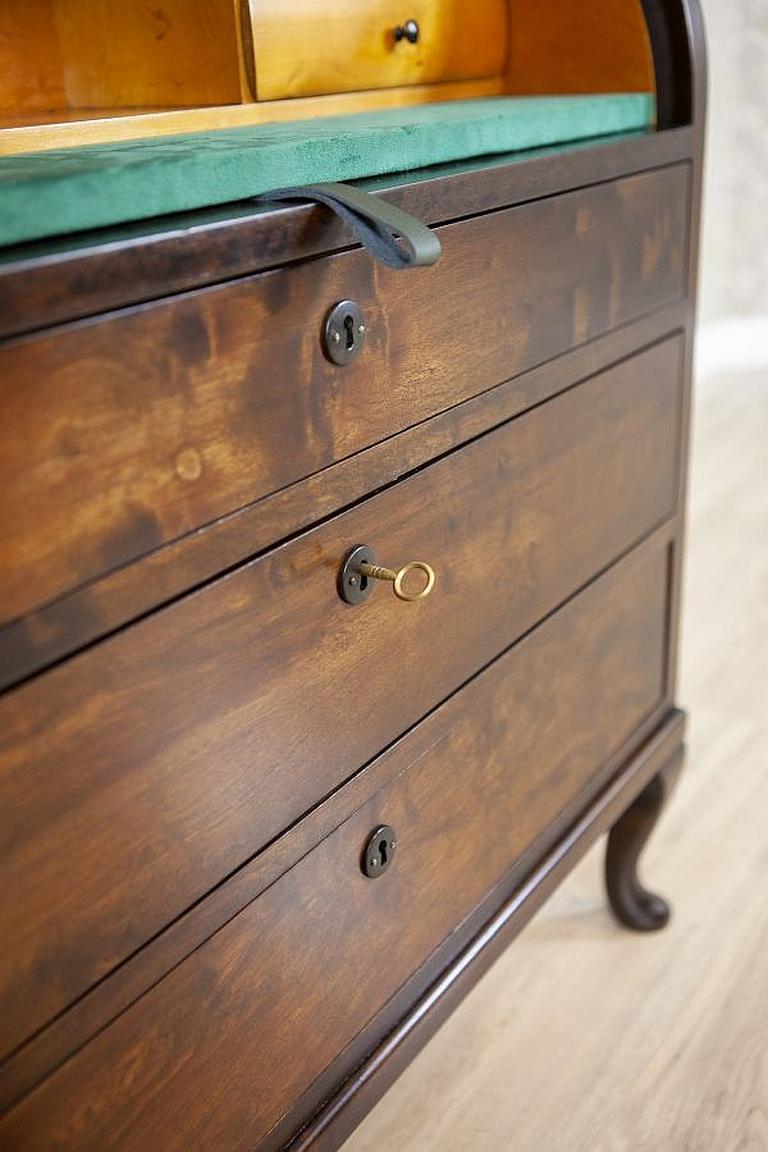 Early 20th-Century Biedermeier Brown Oak Secretary Desk For Sale 9