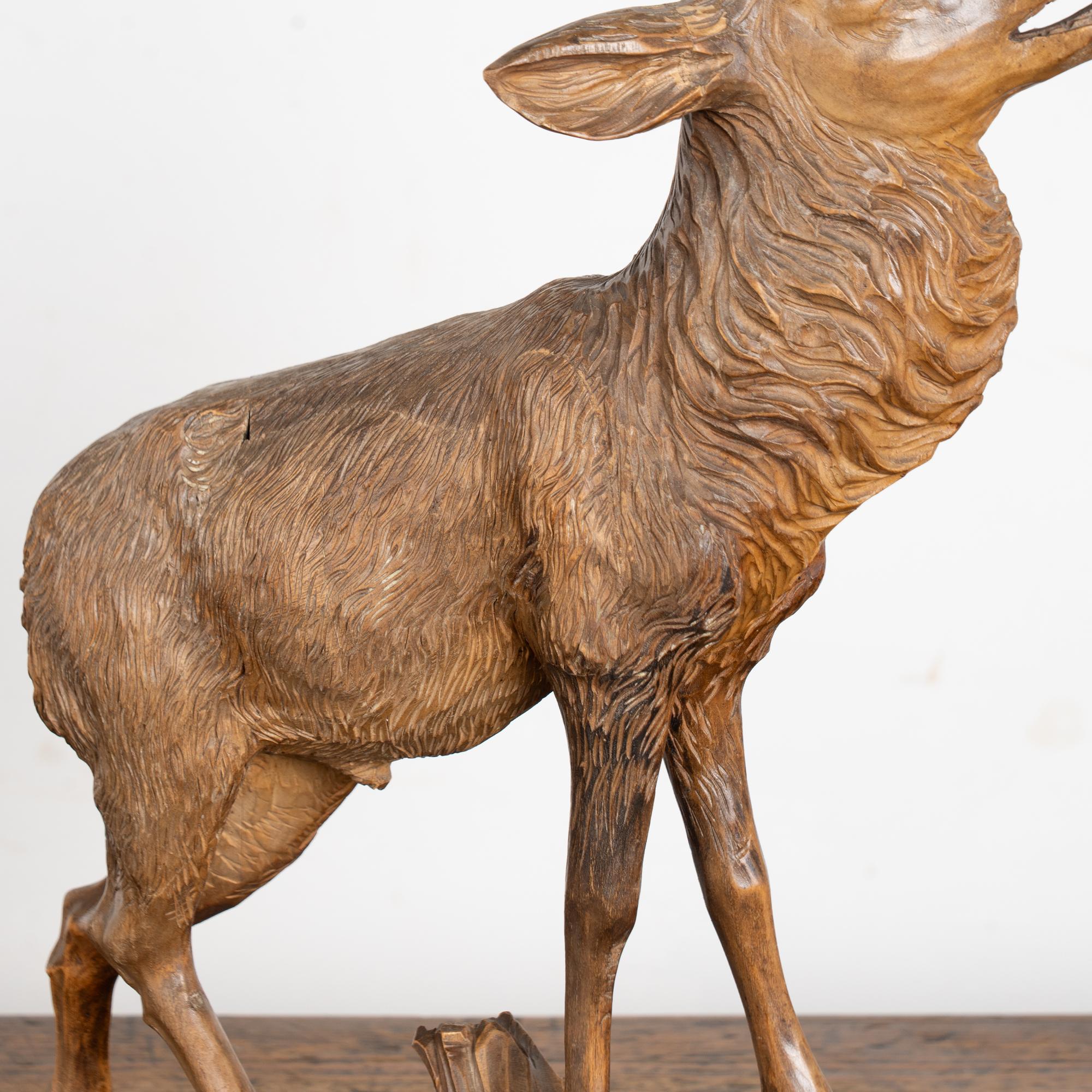 Elan sculpté à la main au début du 20e siècle, Black Forest, Allemagne en vente 4