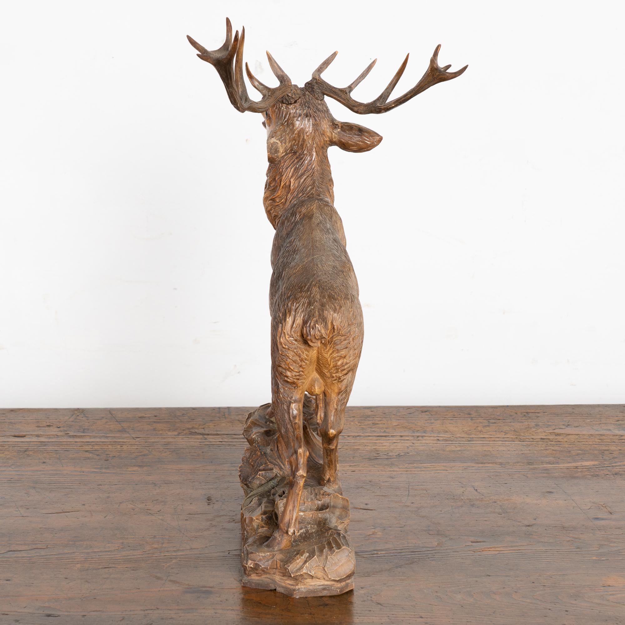 Elan sculpté à la main au début du 20e siècle, Black Forest, Allemagne en vente 6