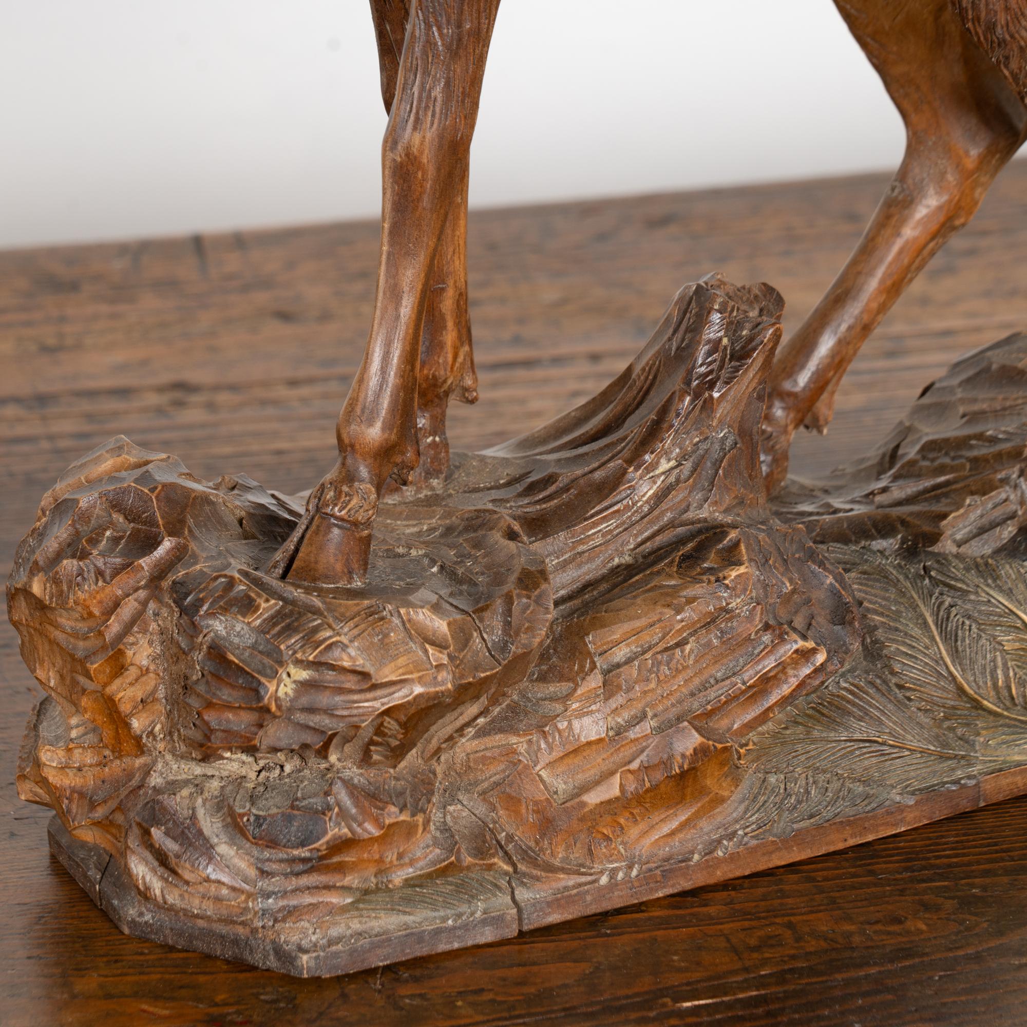 Sculpture d'élan du début du XXe siècle, sculptée à la main dans la région de la Forêt-Noire, réalisée en chêne avec une extraordinaire attention aux détails. Notez la fine texture de la fourrure, la sculpture réaliste de la base avec des feuilles