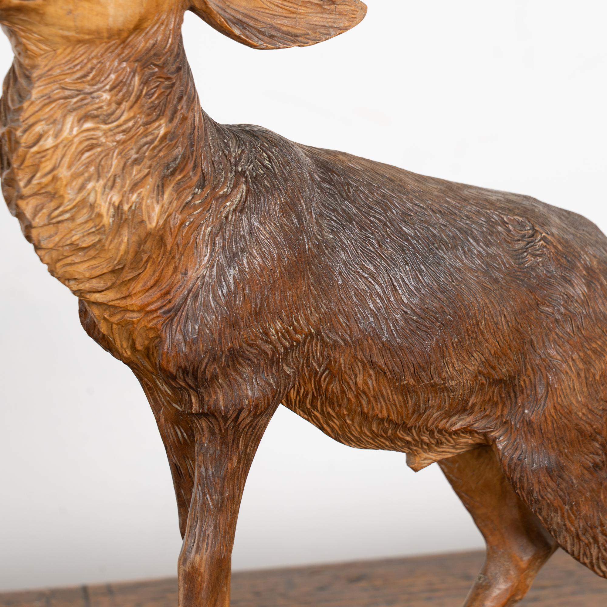 Allemand Elan sculpté à la main au début du 20e siècle, Black Forest, Allemagne en vente